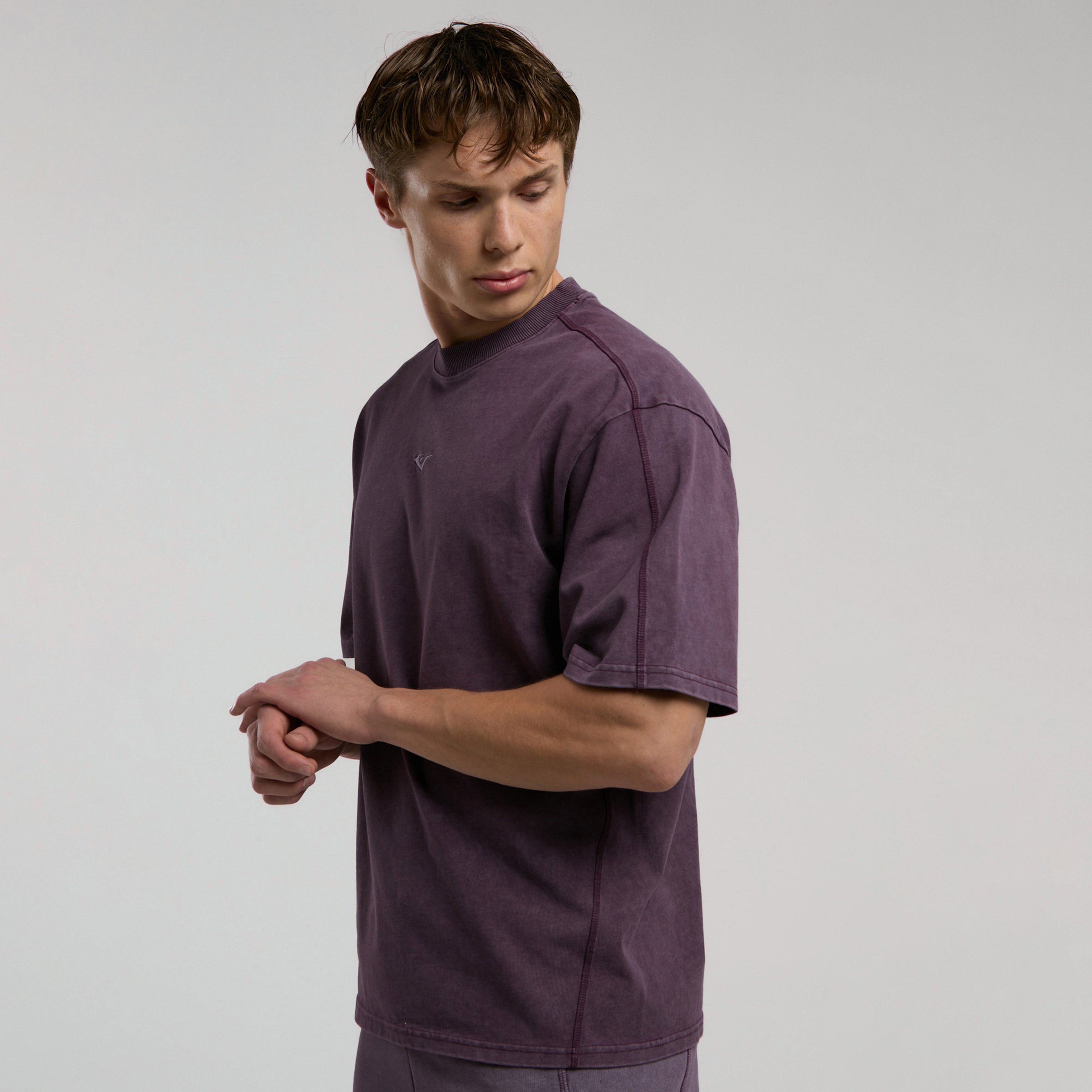 Everlast Bronx 1910 Oversize Erkek Mor T-Shirt