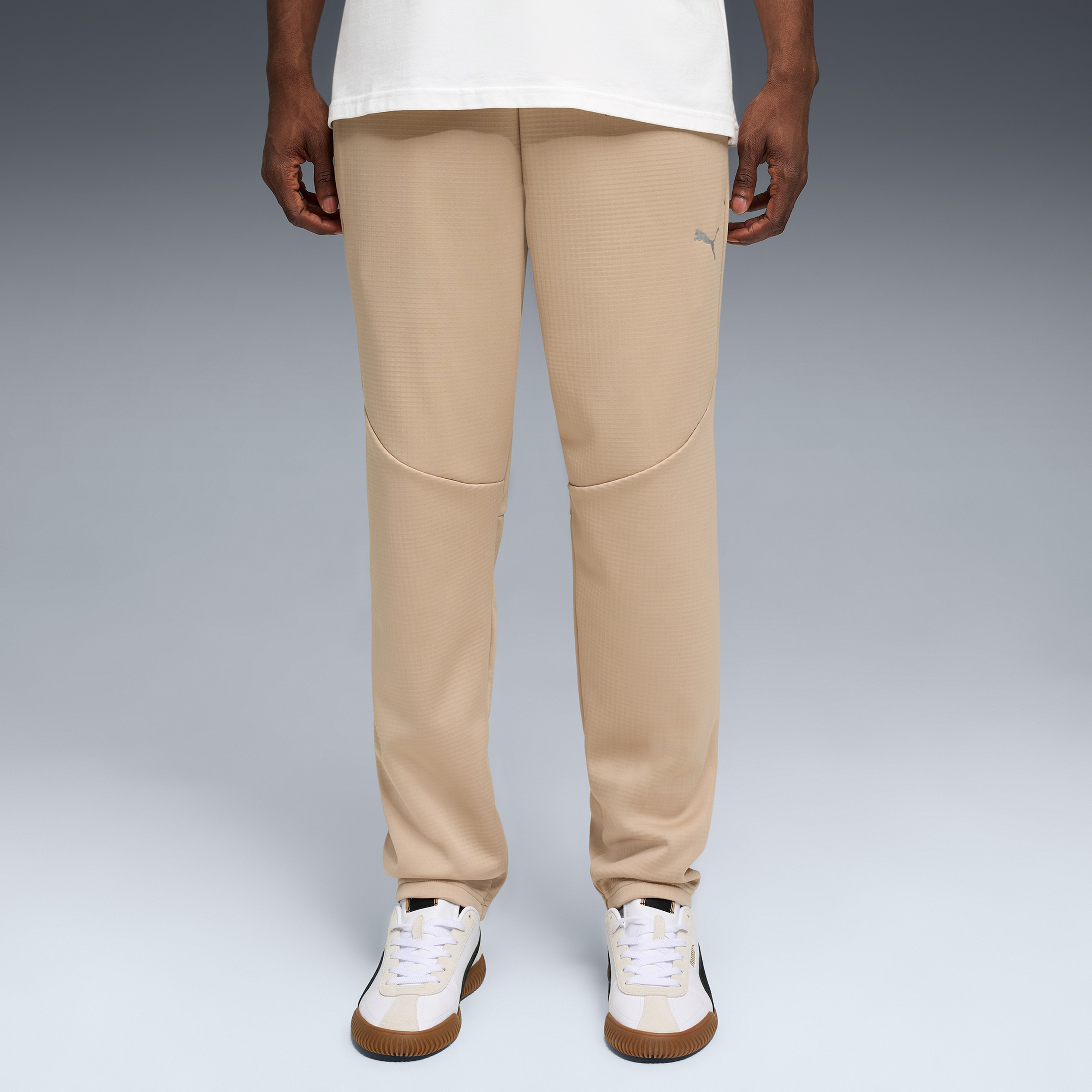 Puma Evostripe Warm Erkek Krem Eşofman Altı