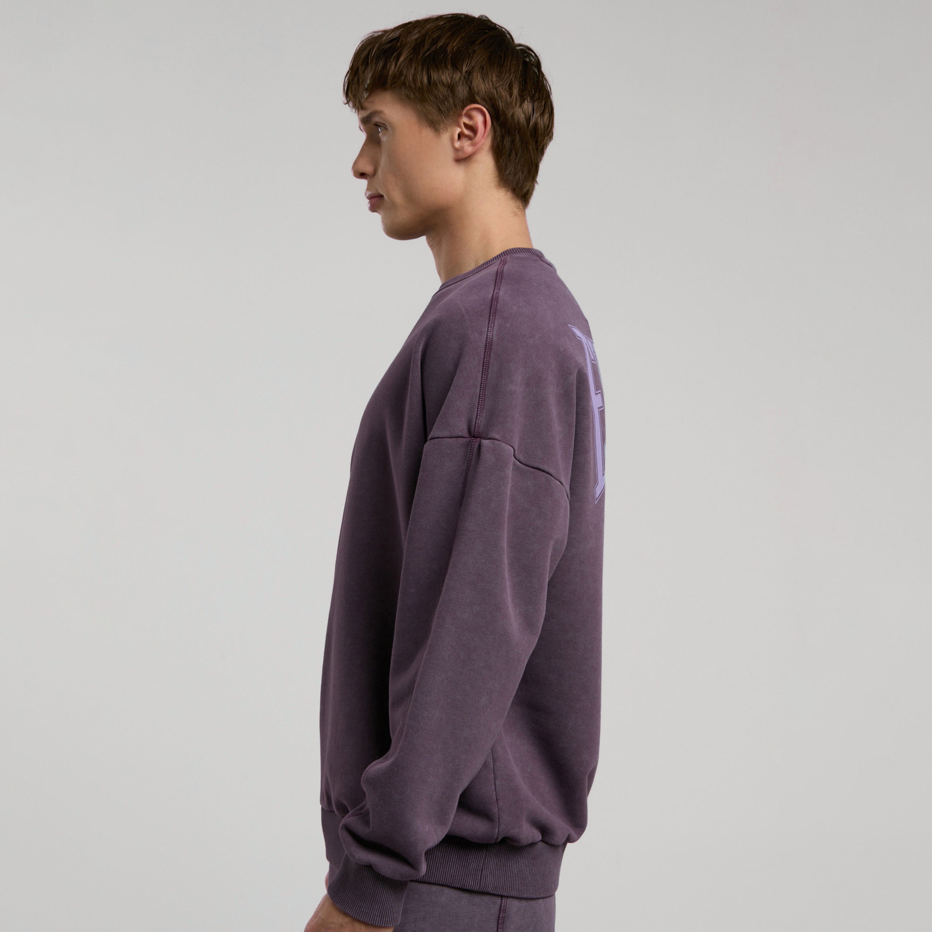 Everlast Bronx 1910 Yıkamalı Erkek Mor Sweatshirt