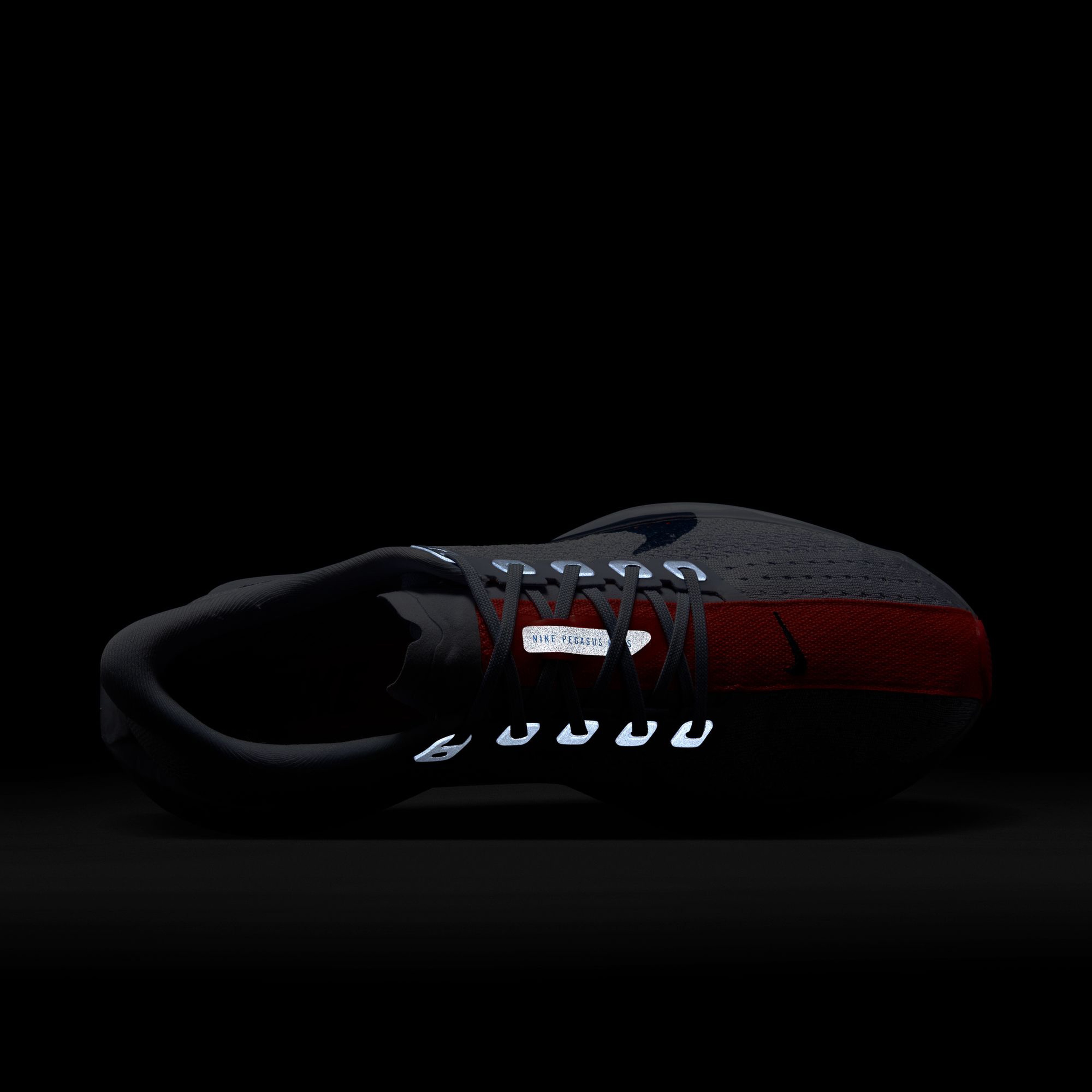 Nike Pegasus Plus Kadın Mor Koşu Ayakkabısı