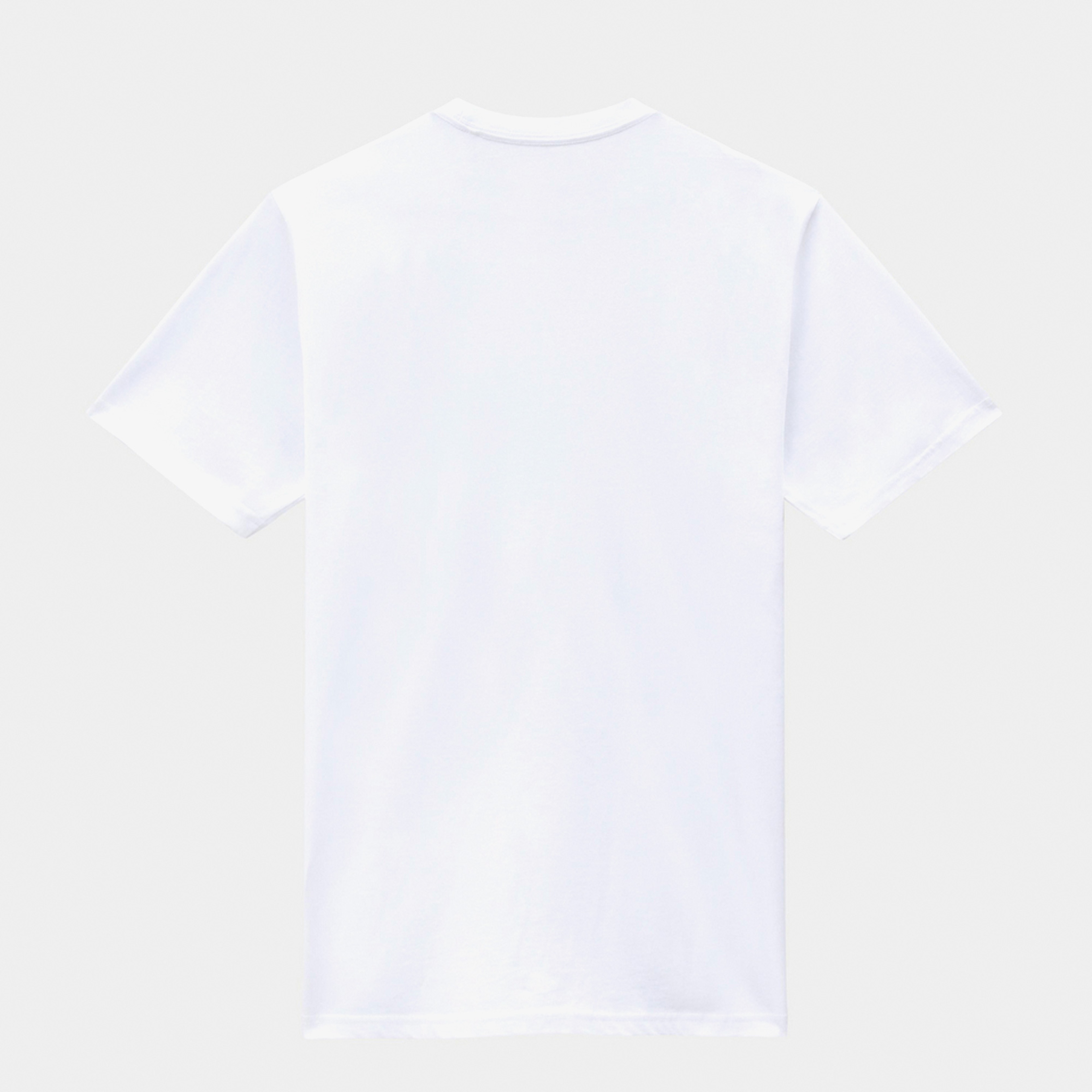 Dickies Mapleton Erkek Beyaz T-Shirt