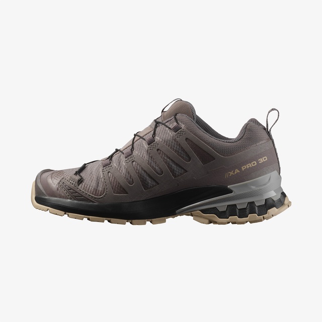 Salomon Gri Salomon Xa Pro 3D V9 GORE-TEX Kadın Outdoor Ayakkabı