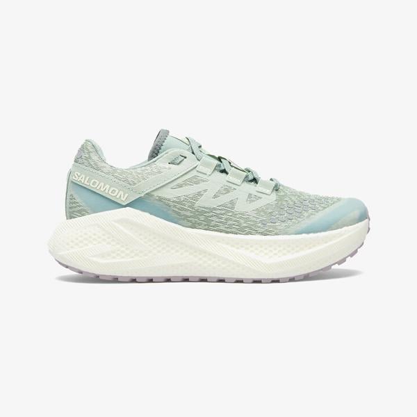 Salomon Aero Glide 3 Grvl Kadın Mavi Koşu Ayakkabısı