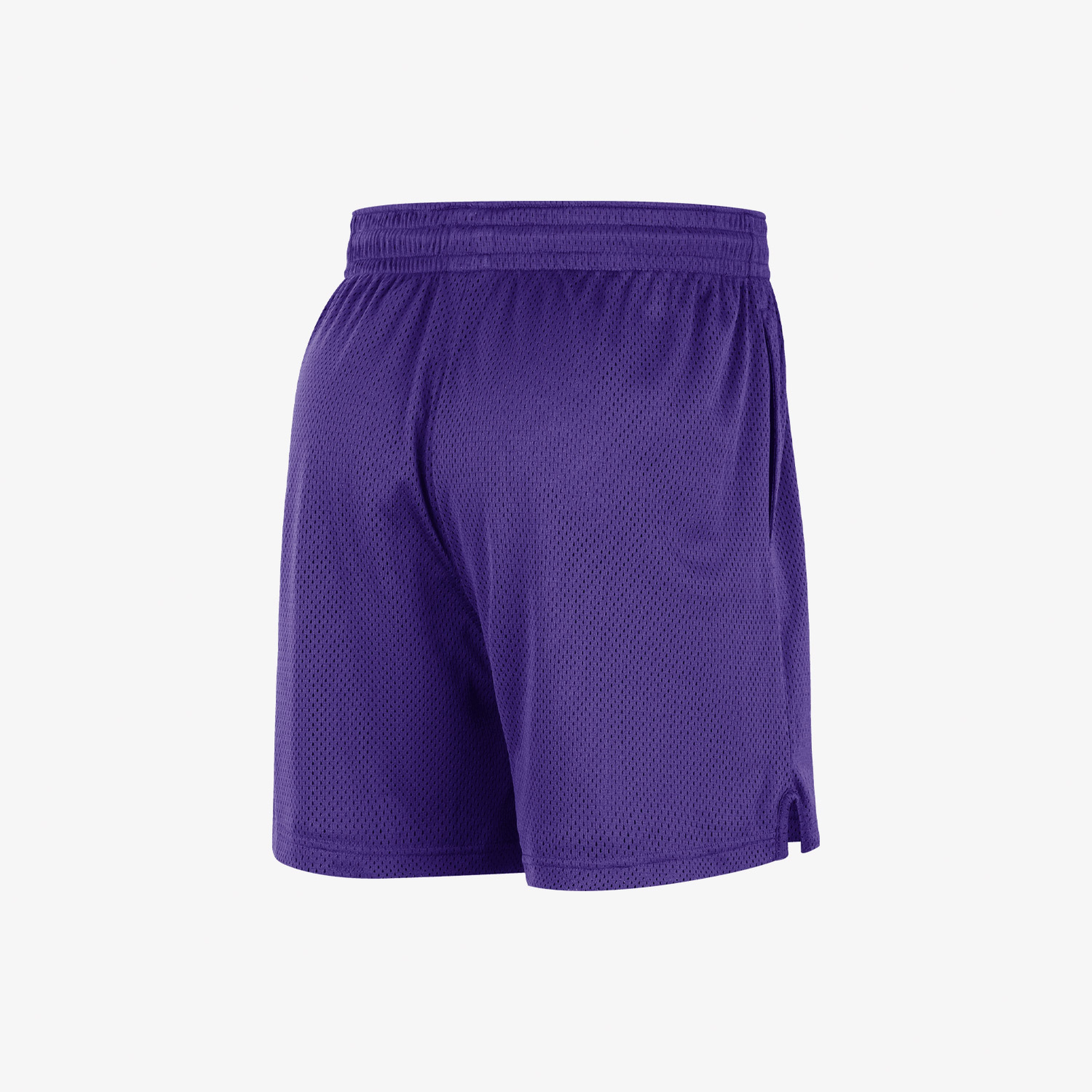 Nike Los Angeles Lakers Erkek Mor Şort