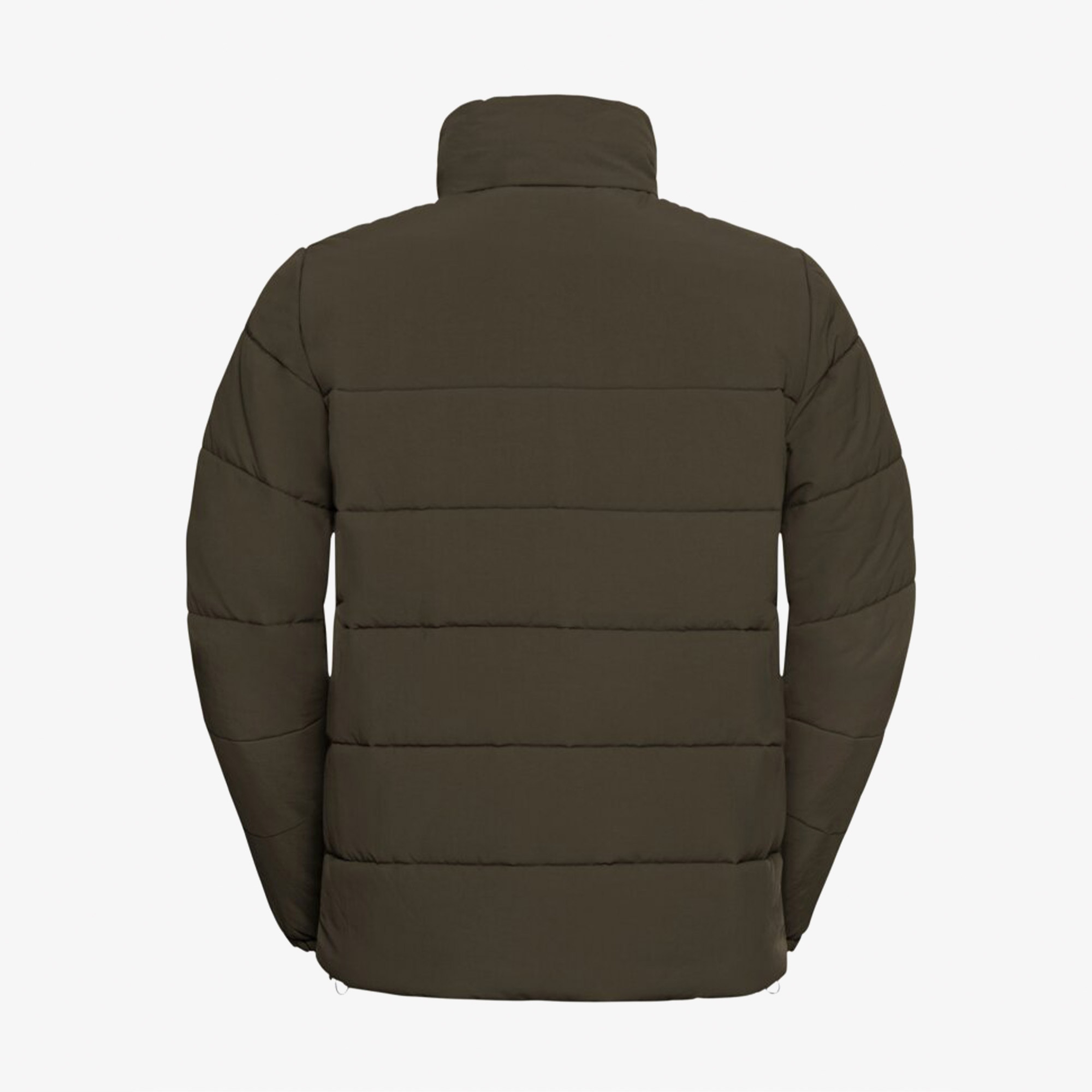 Jack Wolfskin Northern Lite Erkek Kahverengi Ceket