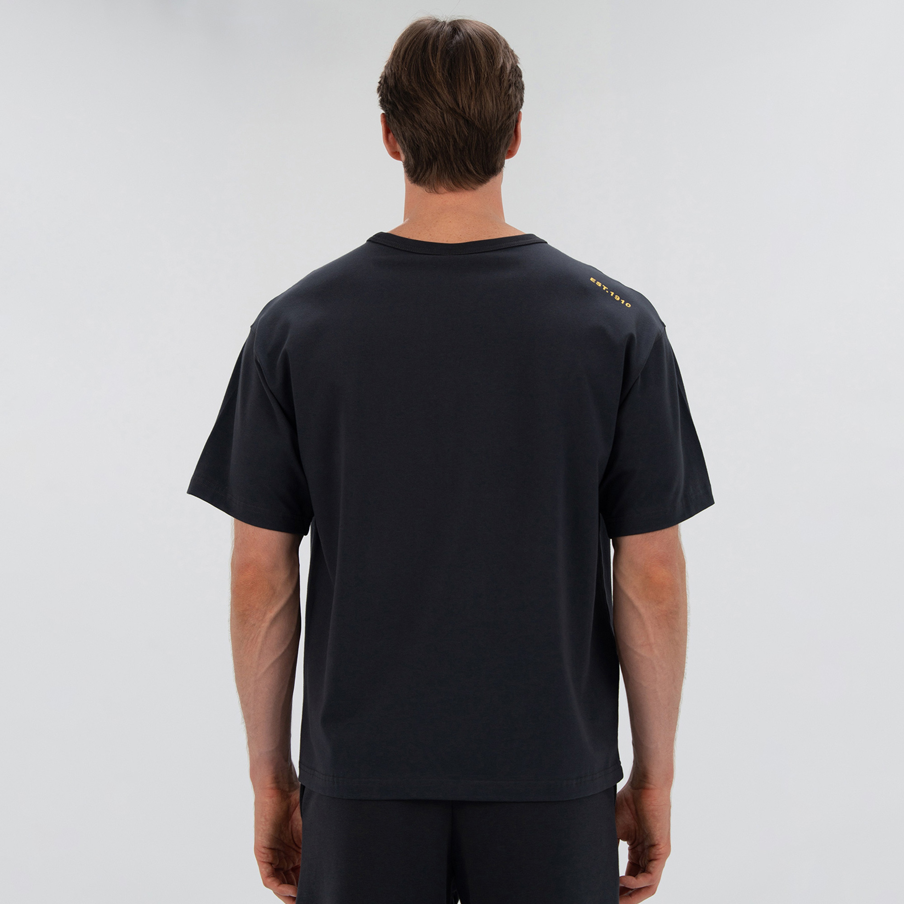 Everlast 1910 Classic Comfort Erkek Gri T-Shirt