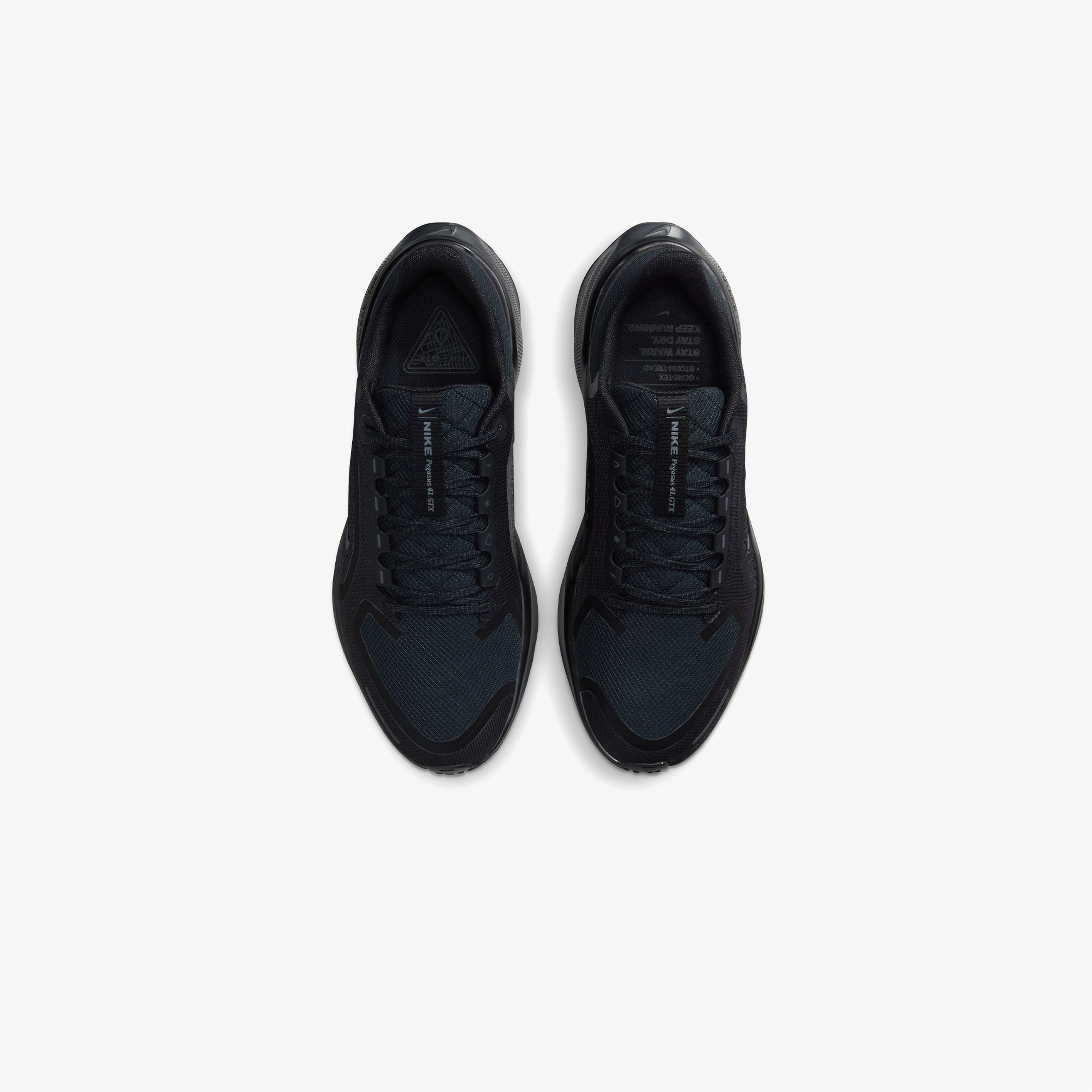 Nike Pegasus 41 Gore-Tex Kadın Siyah Koşu Ayakkabısı