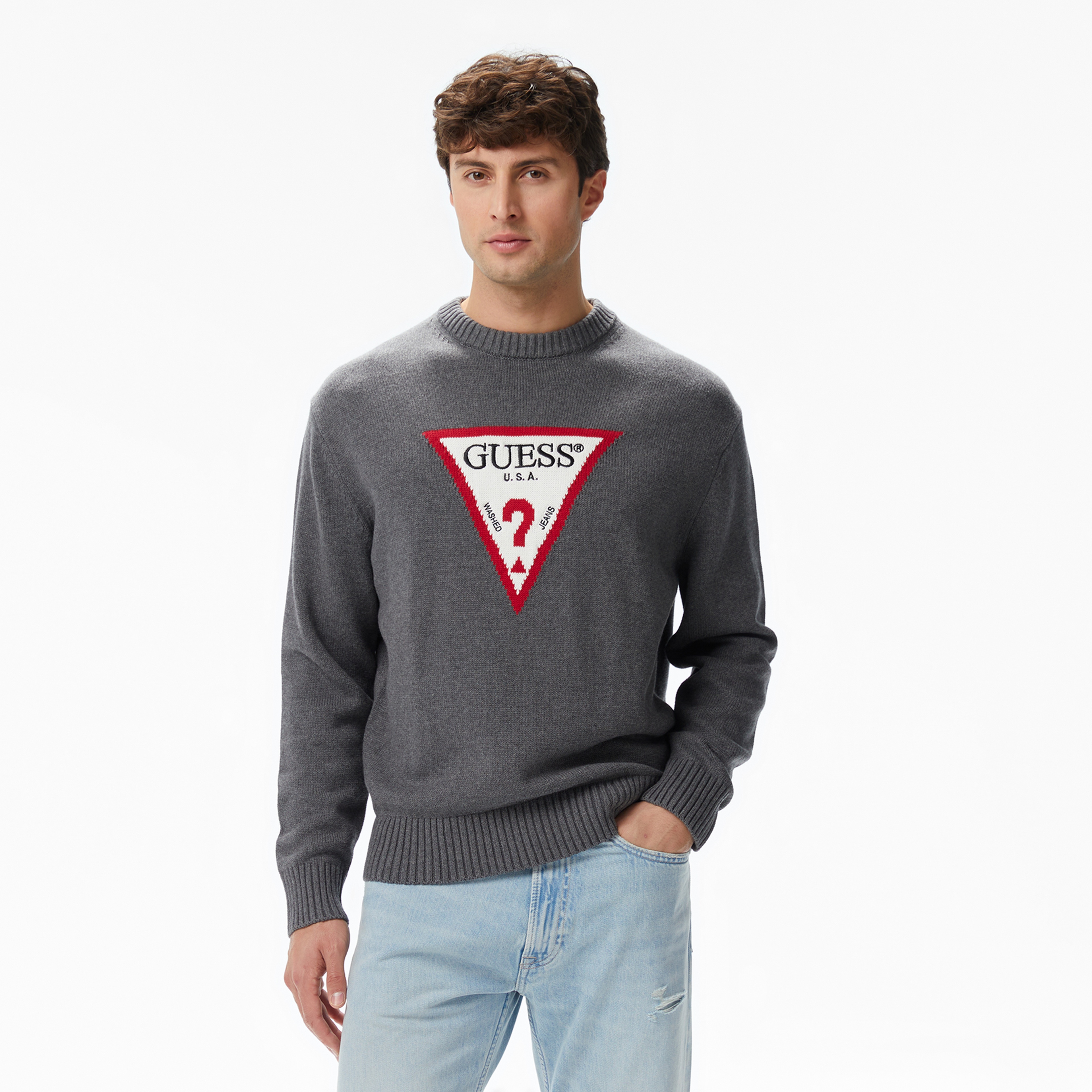 Guess Erkek Renkli Kazak