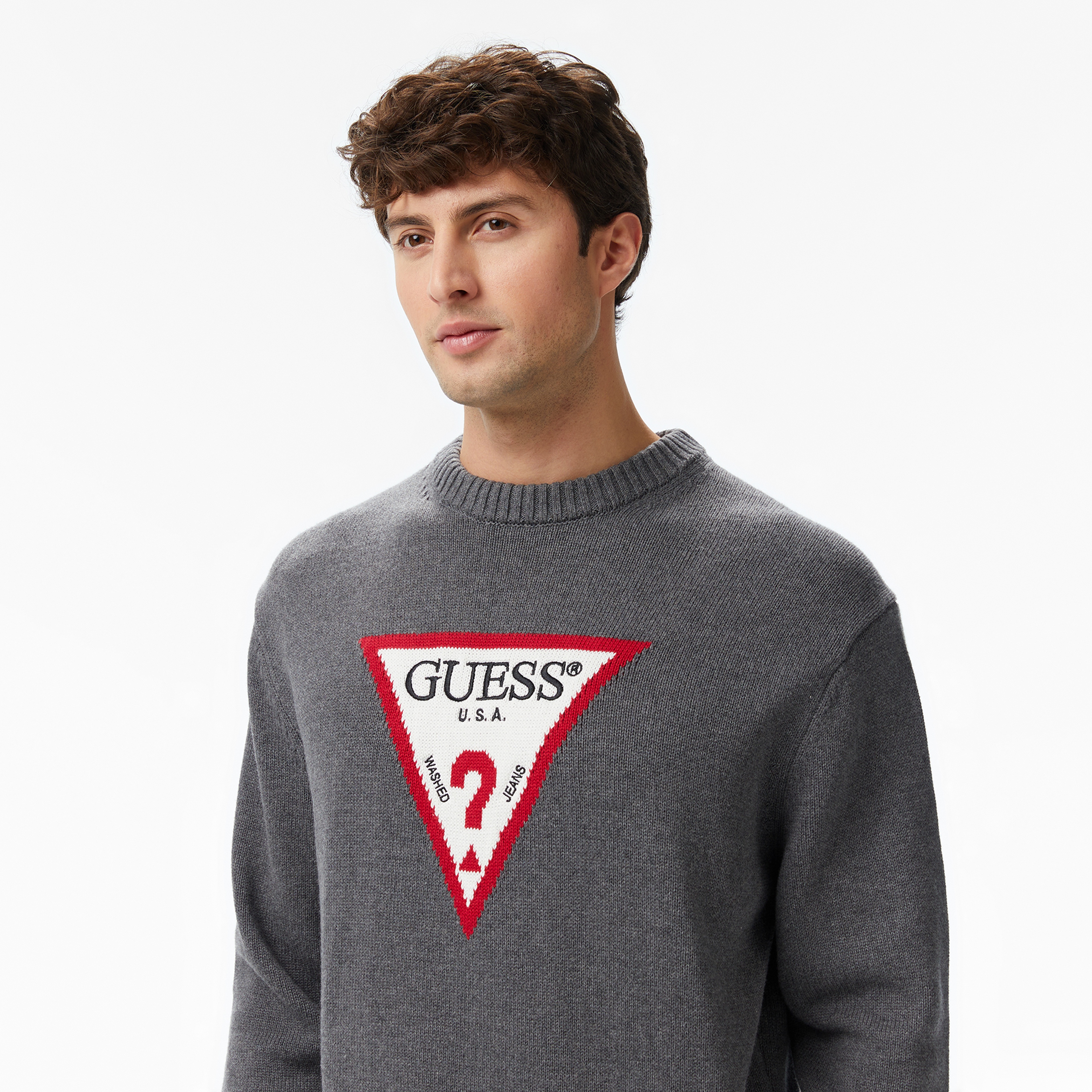 Guess Erkek Renkli Kazak