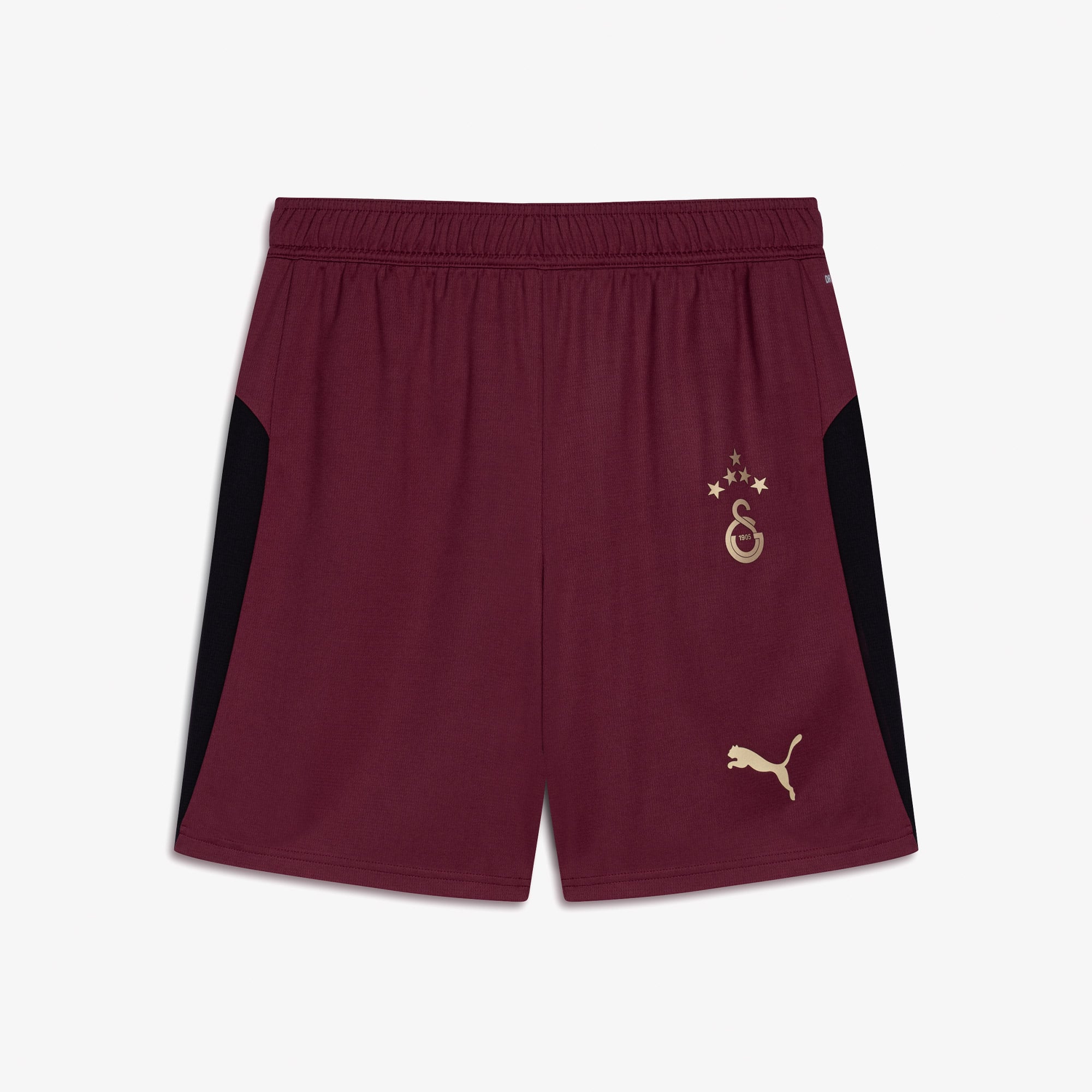 Puma Galatasaray S.K. 25-26 Erkek Kırmızı Futbol Şortu
