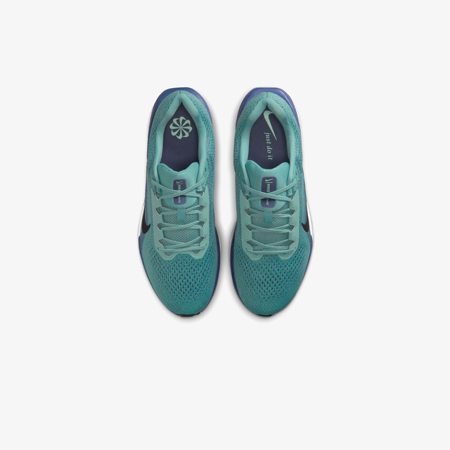 Nike Siyah Nike Air Winflo 11 Erkek Koşu Ayakkabısı