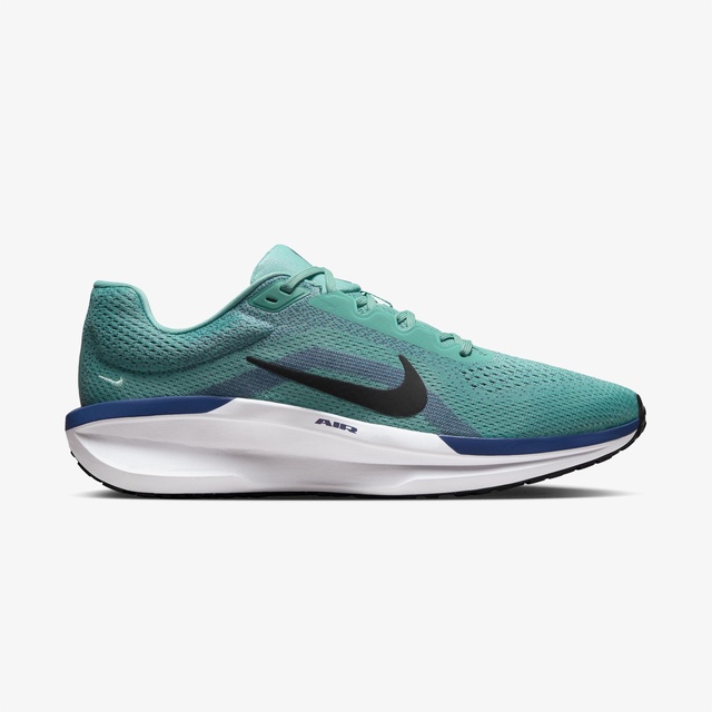 Nike Siyah Nike Air Winflo 11 Erkek Koşu Ayakkabısı