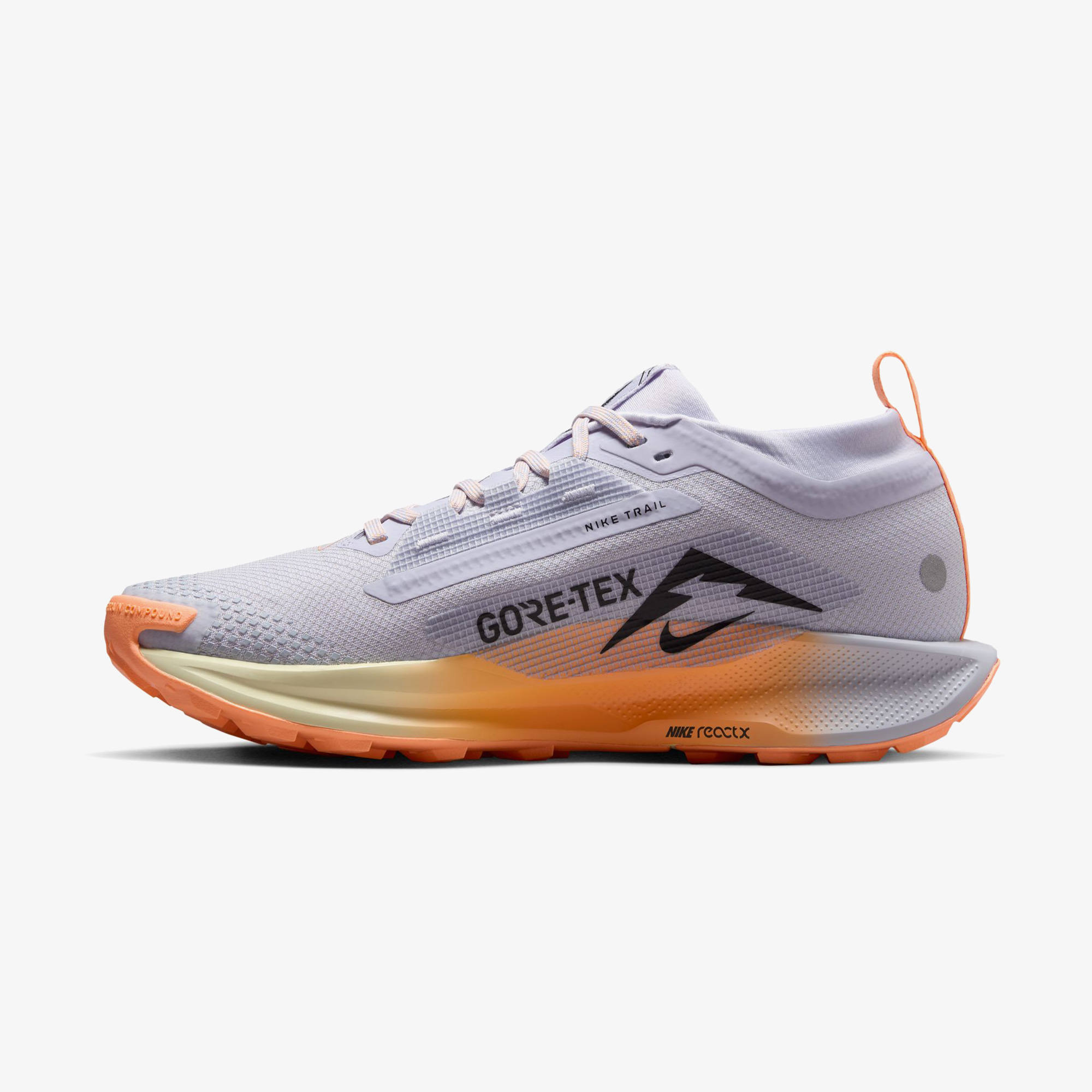 Nike Pegasus Trail 5 Gore-Tex Kadın Gri Koşu Ayakkabısı