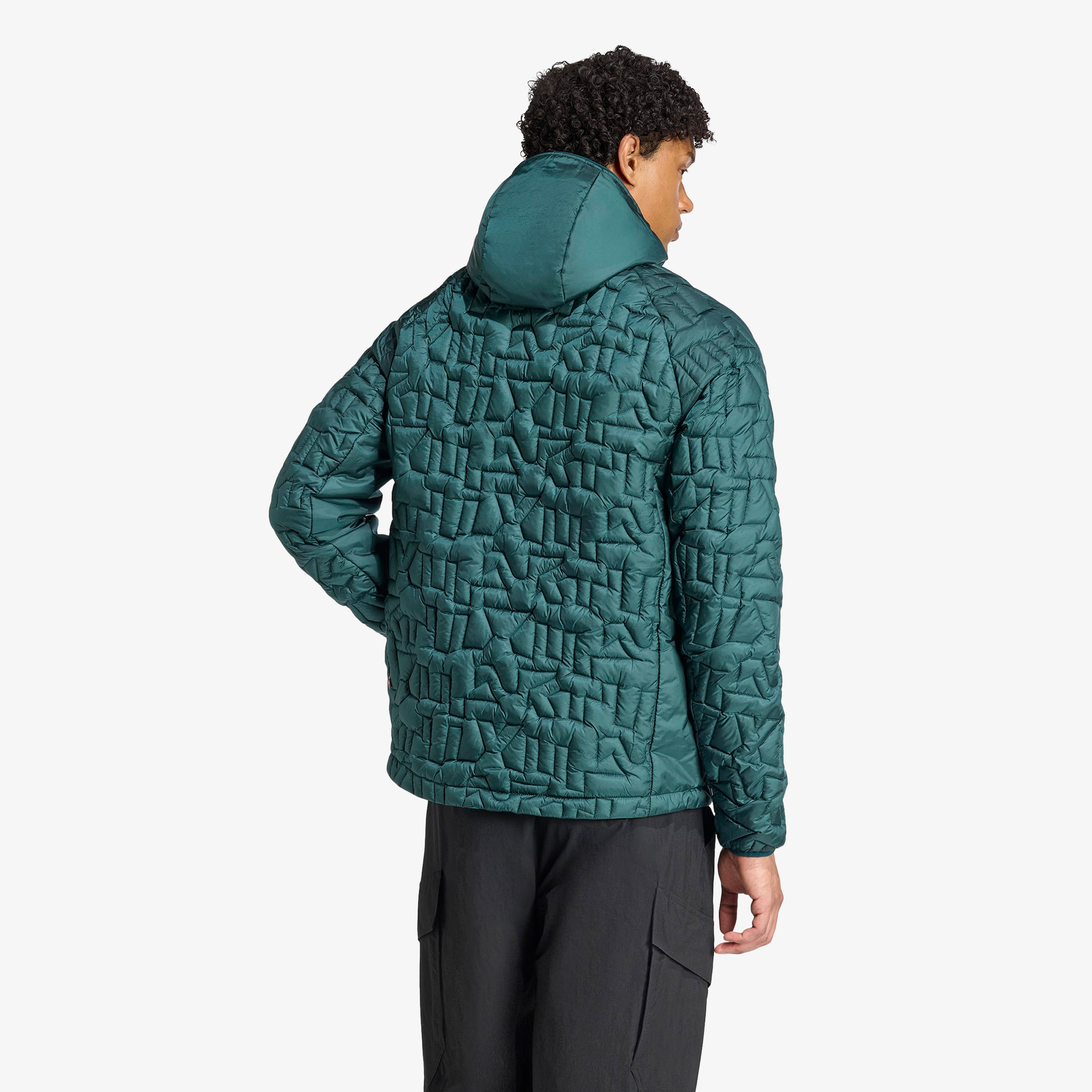 adidas Terrex Xperior Primaloft Loose Fill insulated Kapüşonlu Erkek Yeşil Yürüyüş Montu