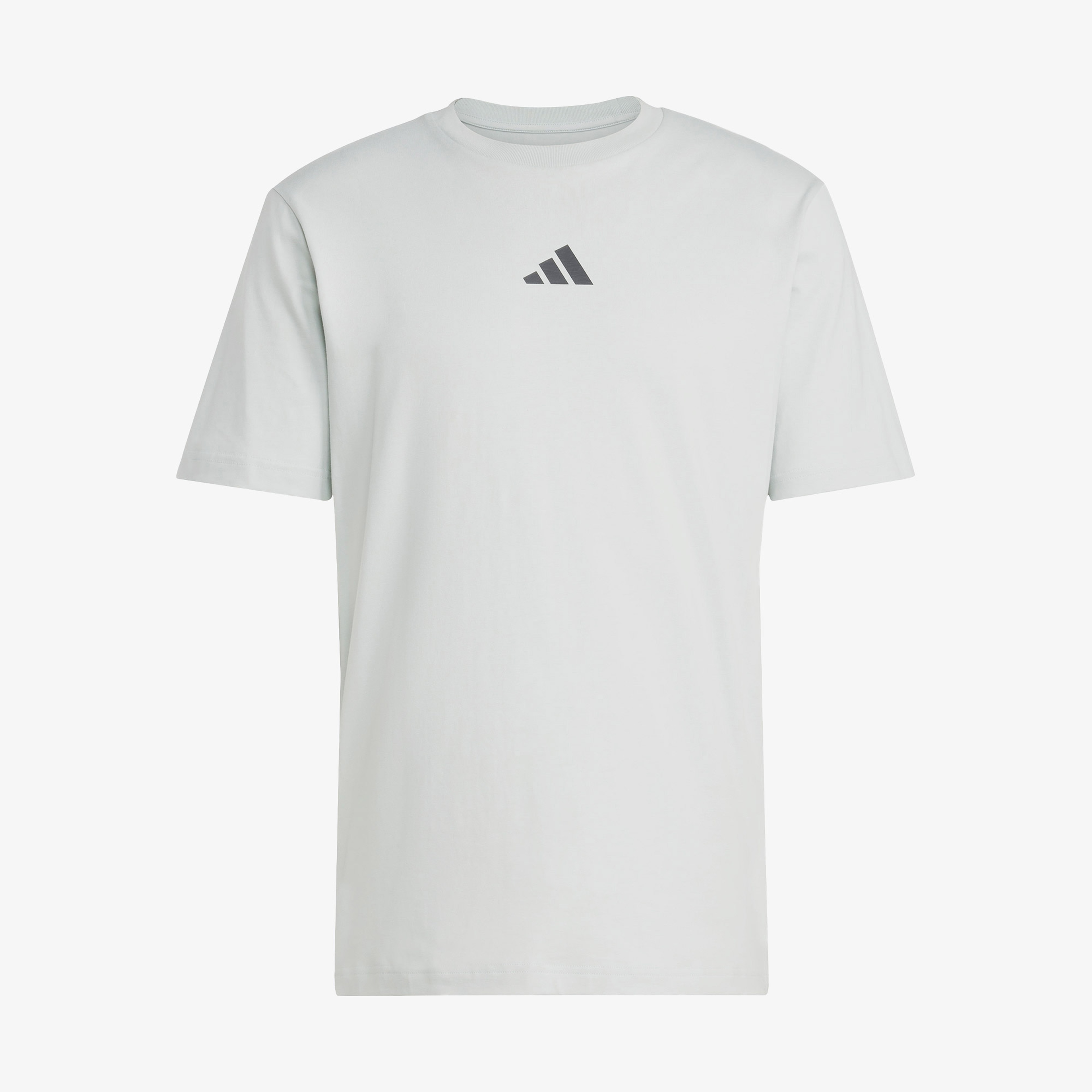 adidas City Escape Logo Graphic Erkek Gri T-Shirt