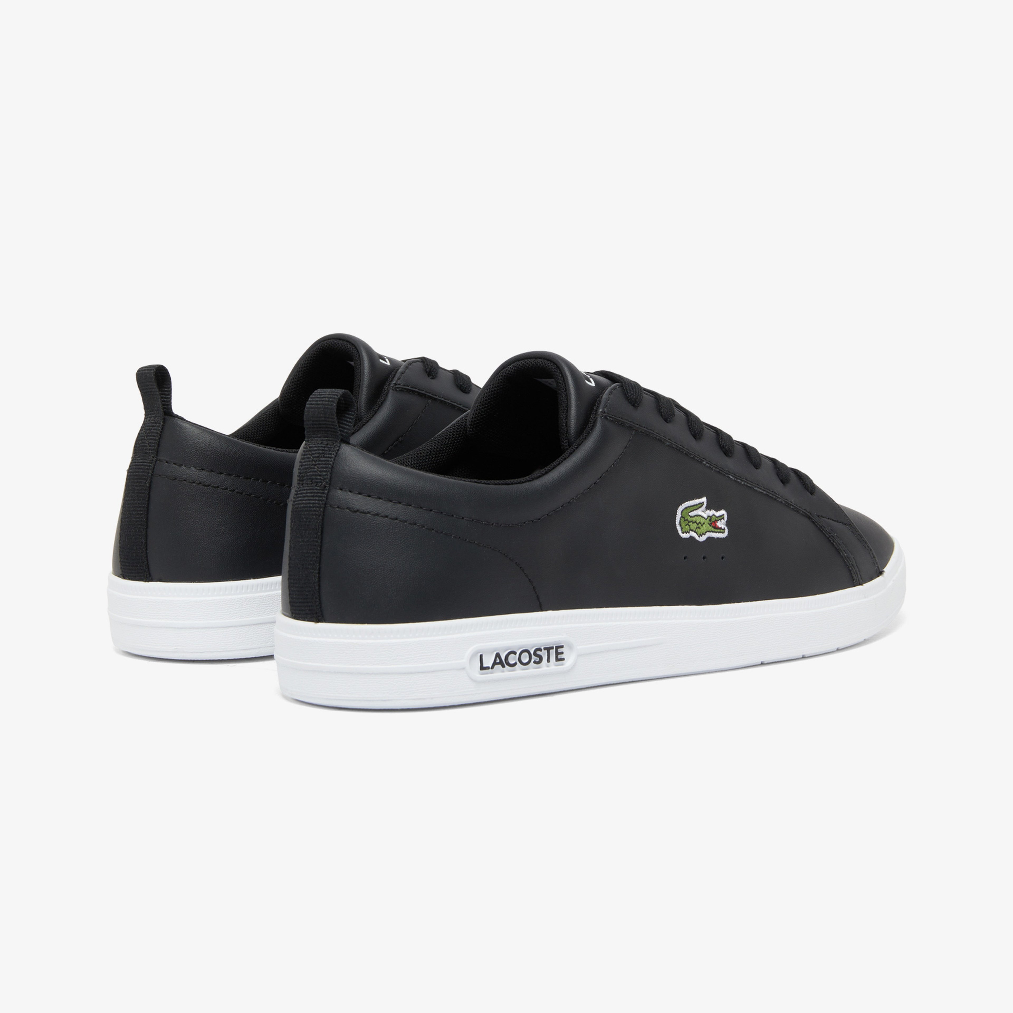Lacoste Carna Base Erkek Siyah Sneaker