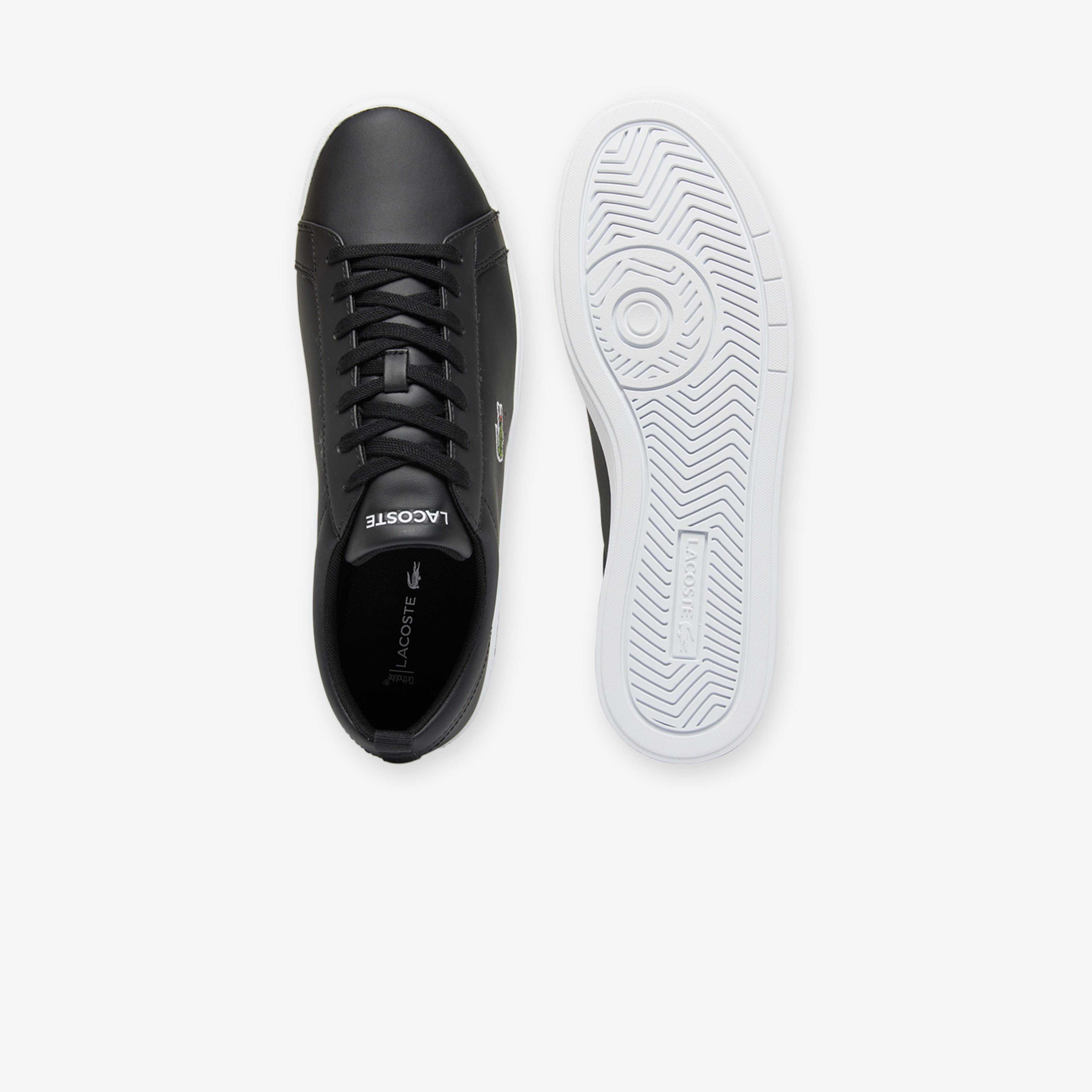 Lacoste Carna Base Erkek Siyah Sneaker
