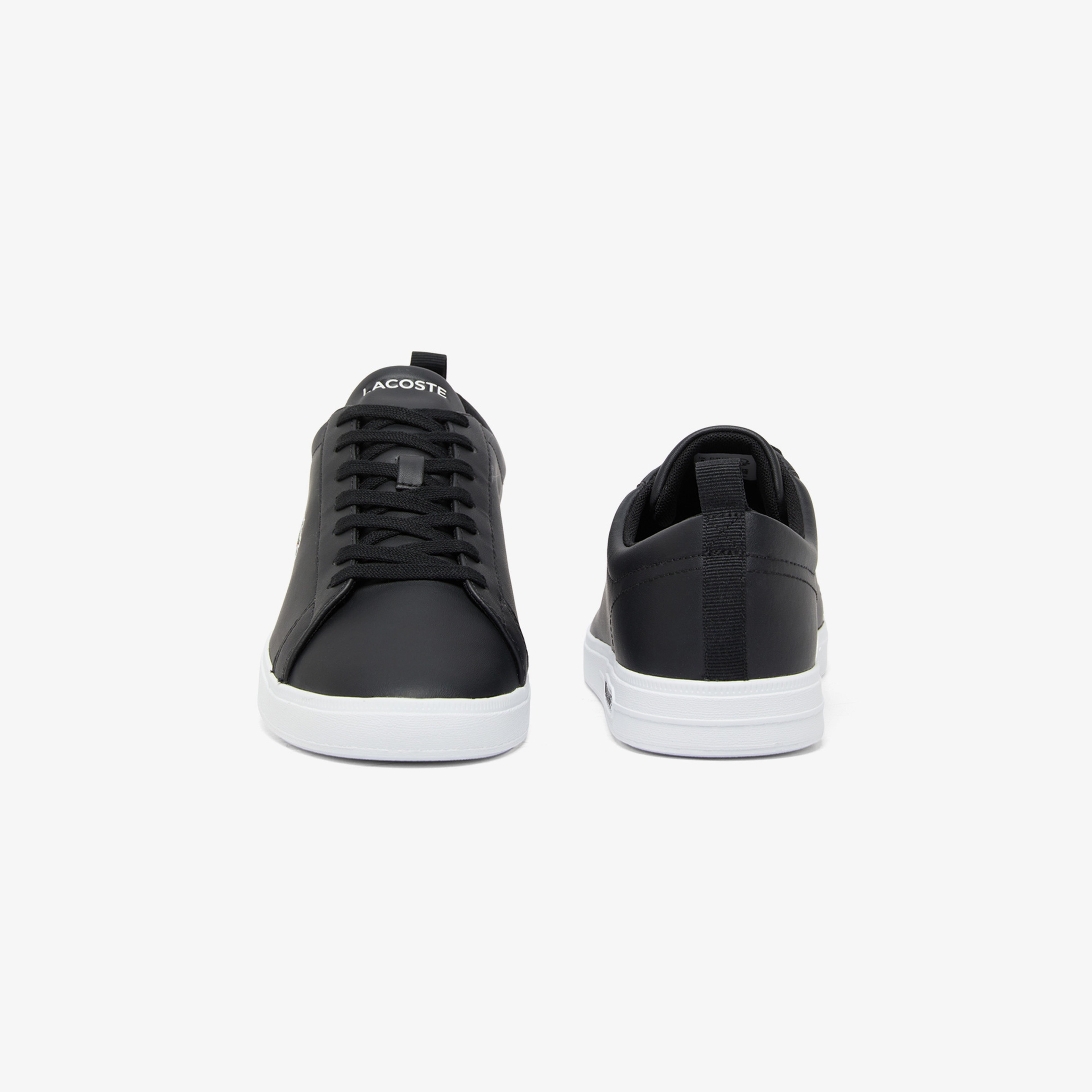 Lacoste Carna Base Erkek Siyah Sneaker