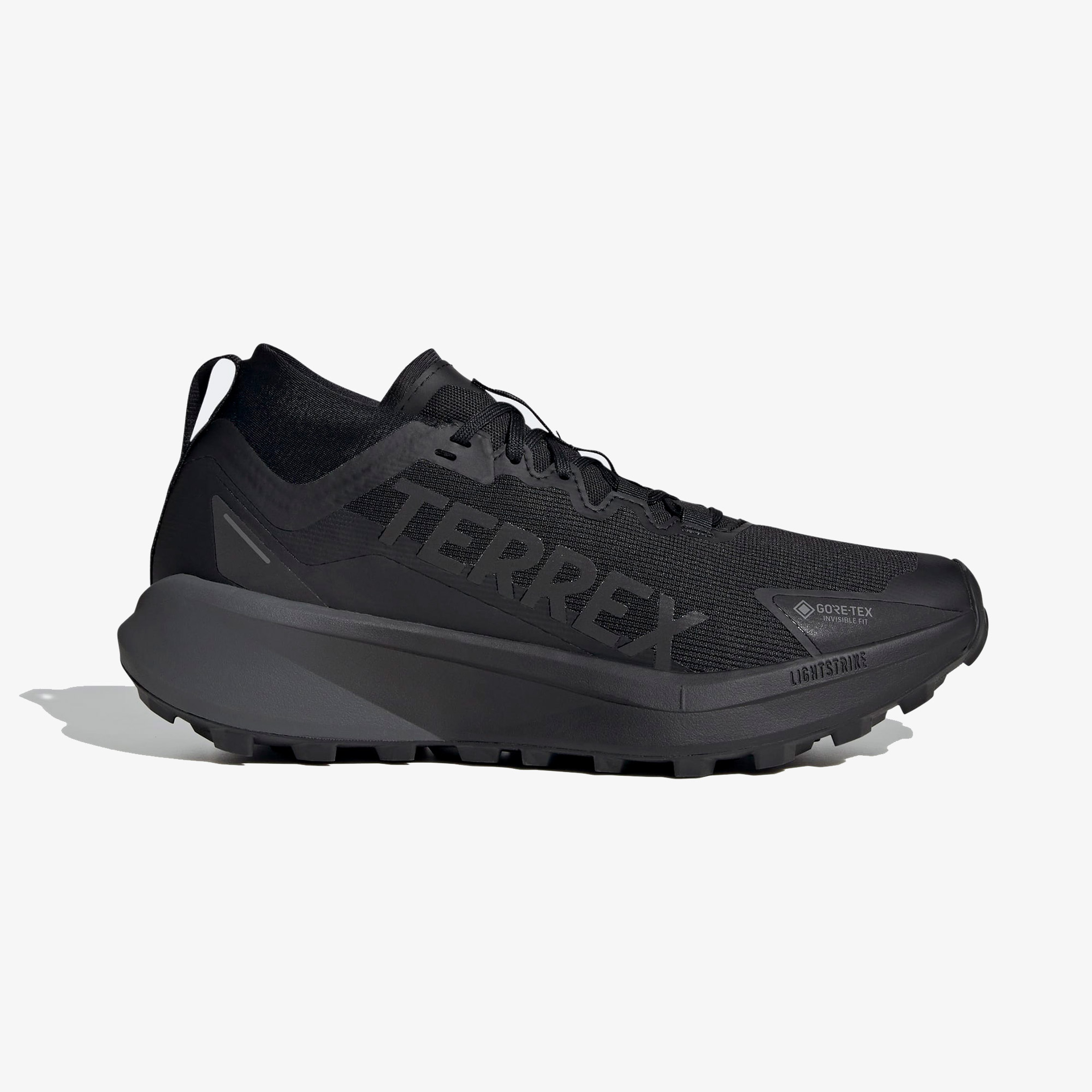 adidas Terrex Agravic Gore-Tex Erkek Siyah Koşu Ayakkabısı