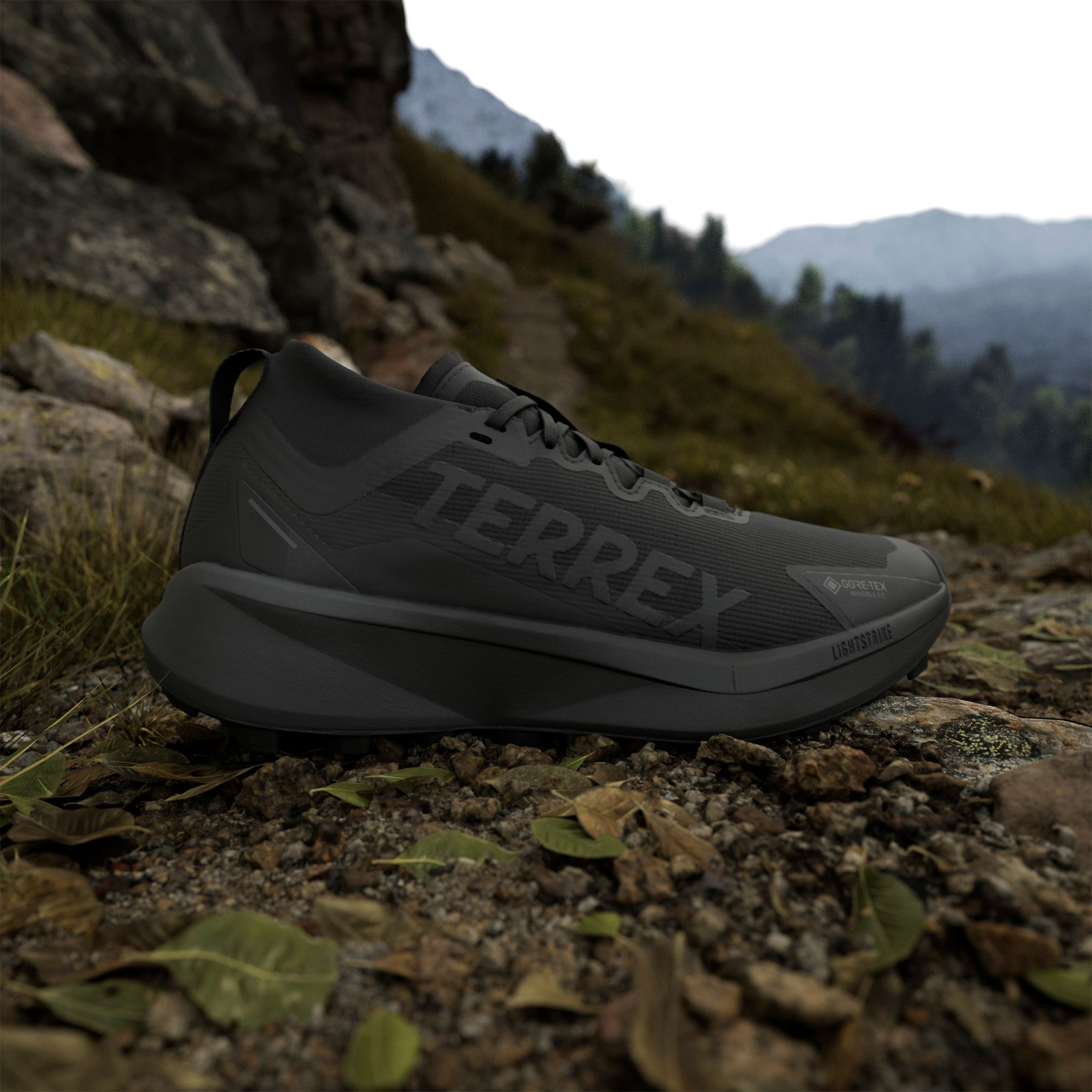 adidas Terrex Agravic Gore-Tex Erkek Siyah Koşu Ayakkabısı