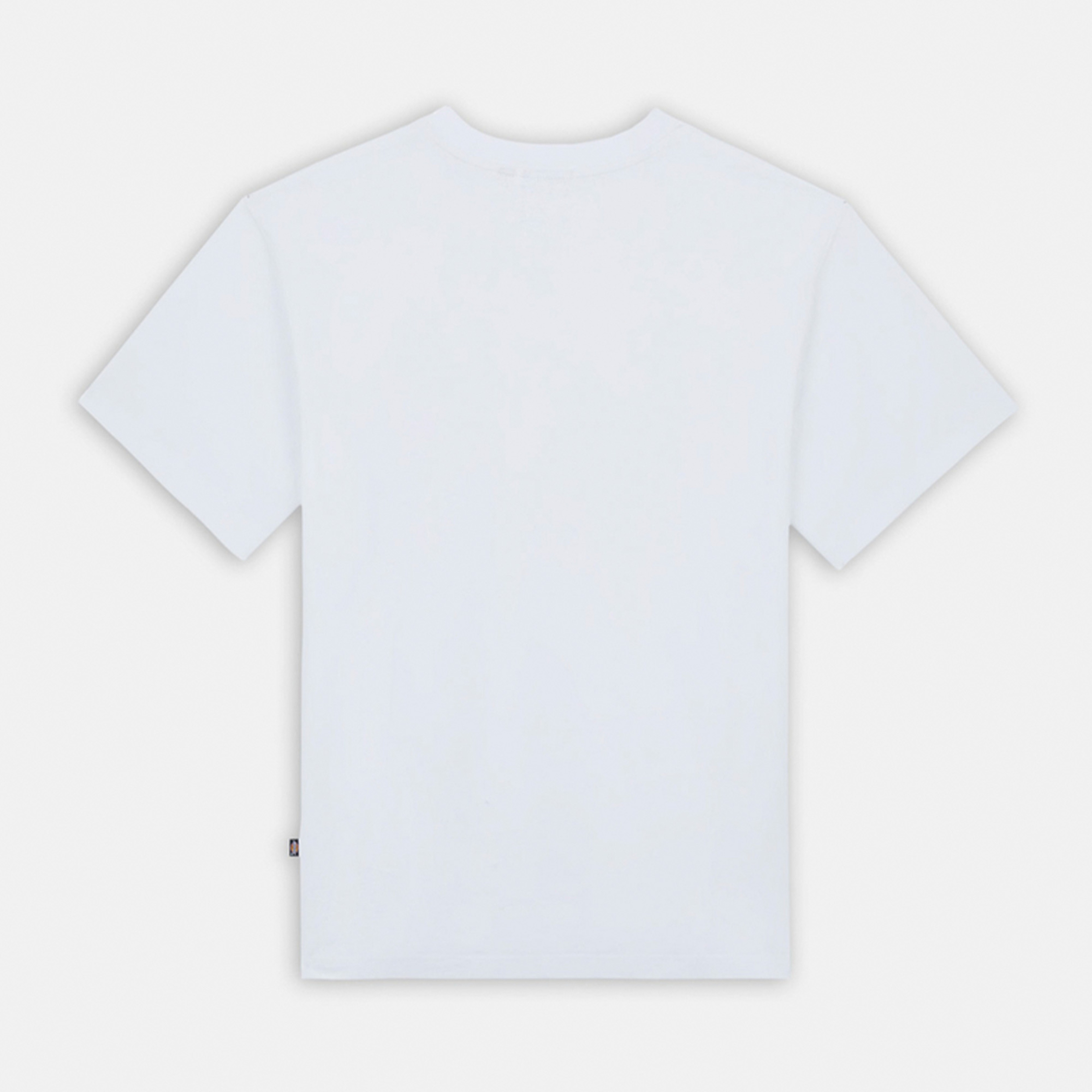 Dickies Luray Pocket Ss Erkek Beyaz T-Shirt