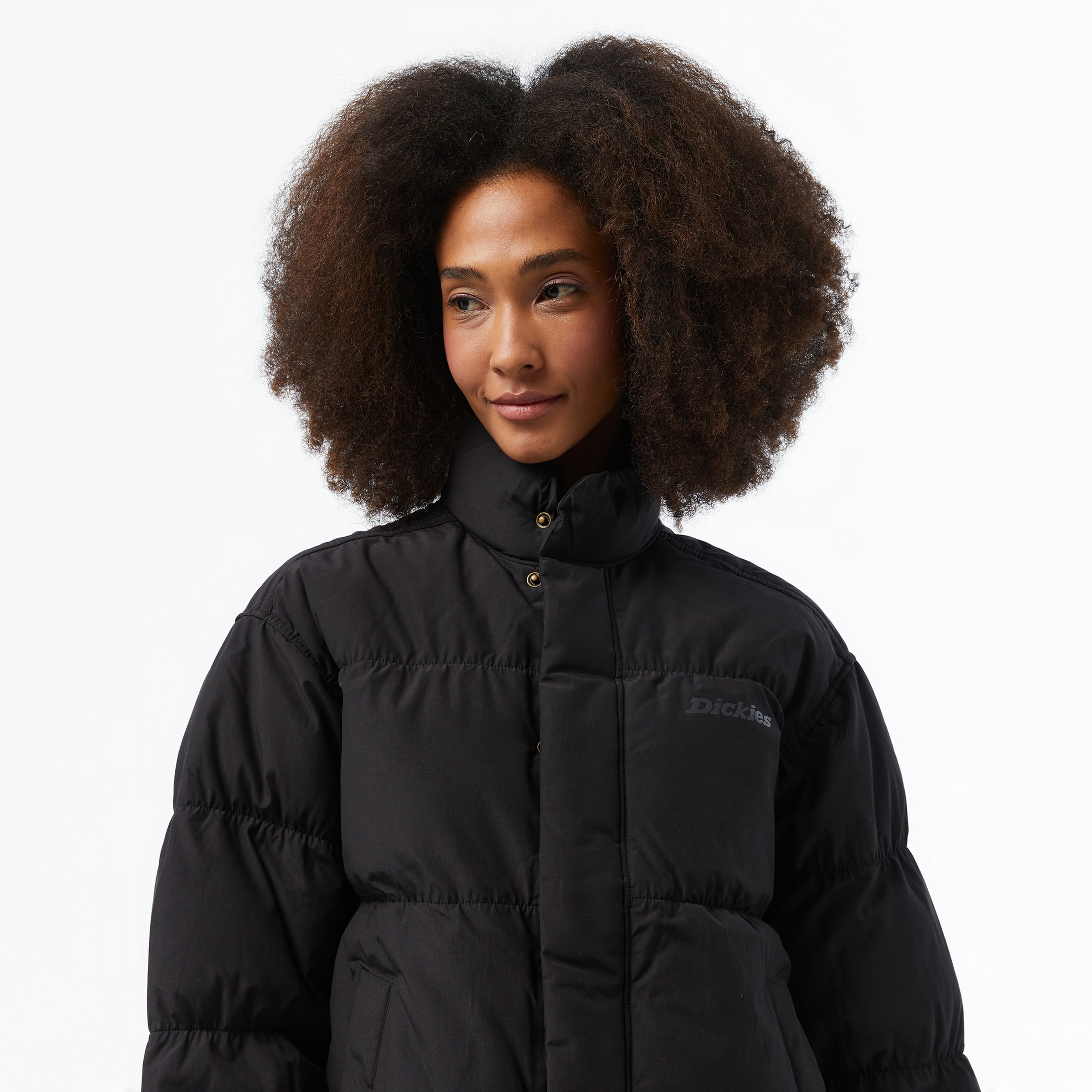 Dickies Scobey Puffer Kadın Siyah Ceket