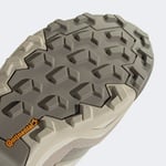 adidas Terrex Skychaser Gtx Erkek Bej Spor Ayakkabı