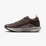Nike Pegasus Trail 5 Gore-Tex Kadın Kahverengi Koşu Ayakkabısı