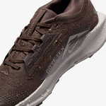 Nike Pegasus Trail 5 Gore-Tex Kadın Kahverengi Koşu Ayakkabısı