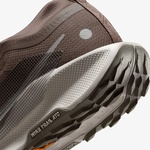 Nike Pegasus Trail 5 Gore-Tex Kadın Kahverengi Koşu Ayakkabısı