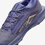 Nike Pegasus Trail 5 Gore-Tex Kadın Mavi Koşu Ayakkabısı