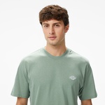 Dickies Summerdale Erkek Yeşil T-Shirt