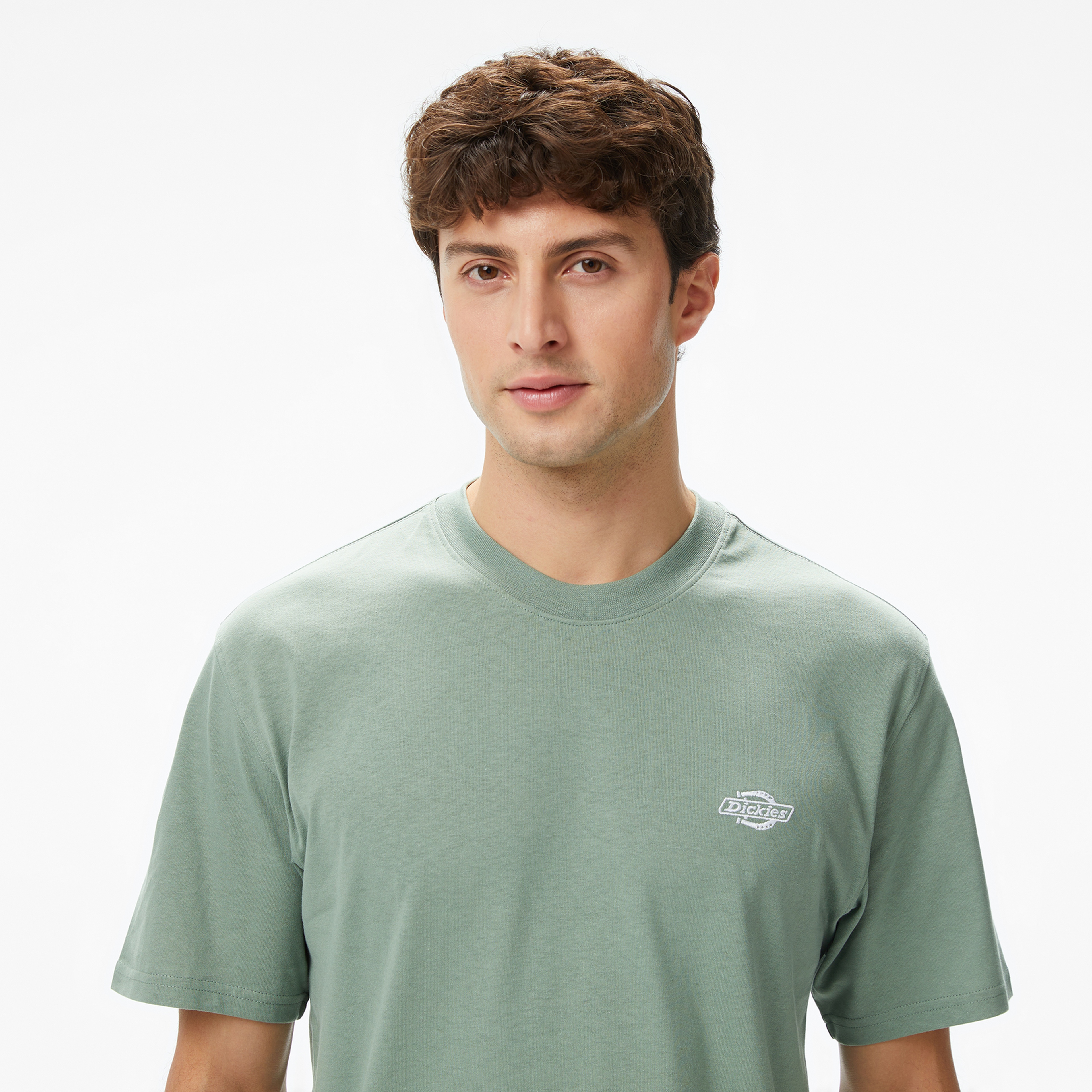 Dickies Summerdale Erkek Yeşil T-Shirt