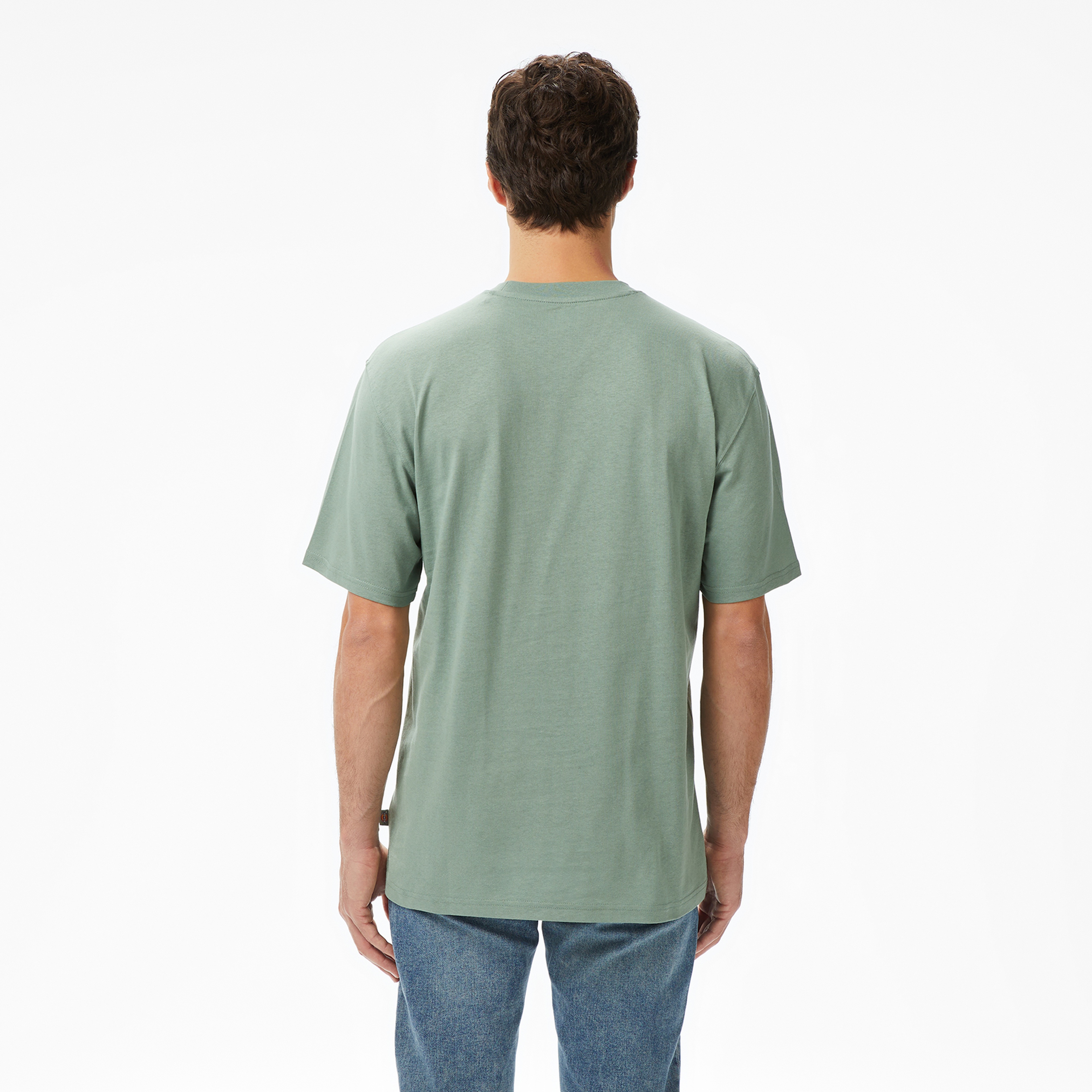 Dickies Summerdale Erkek Yeşil T-Shirt