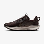 Nike Reactx Pegasus Trail 5 Kadın Kahverengi Koşu Ayakkabısı