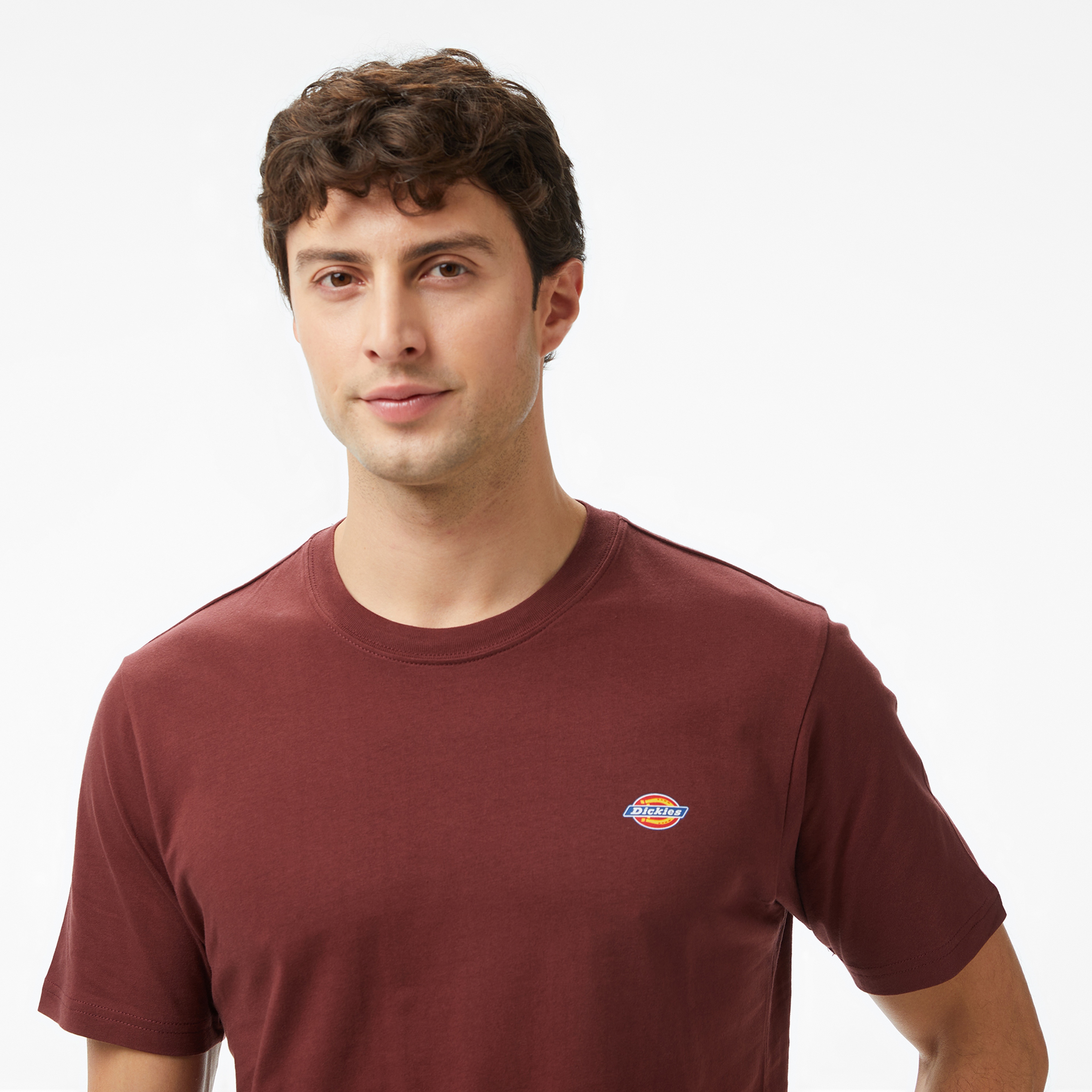 Dickies Mapleton Erkek Kahverengi T-Shirt