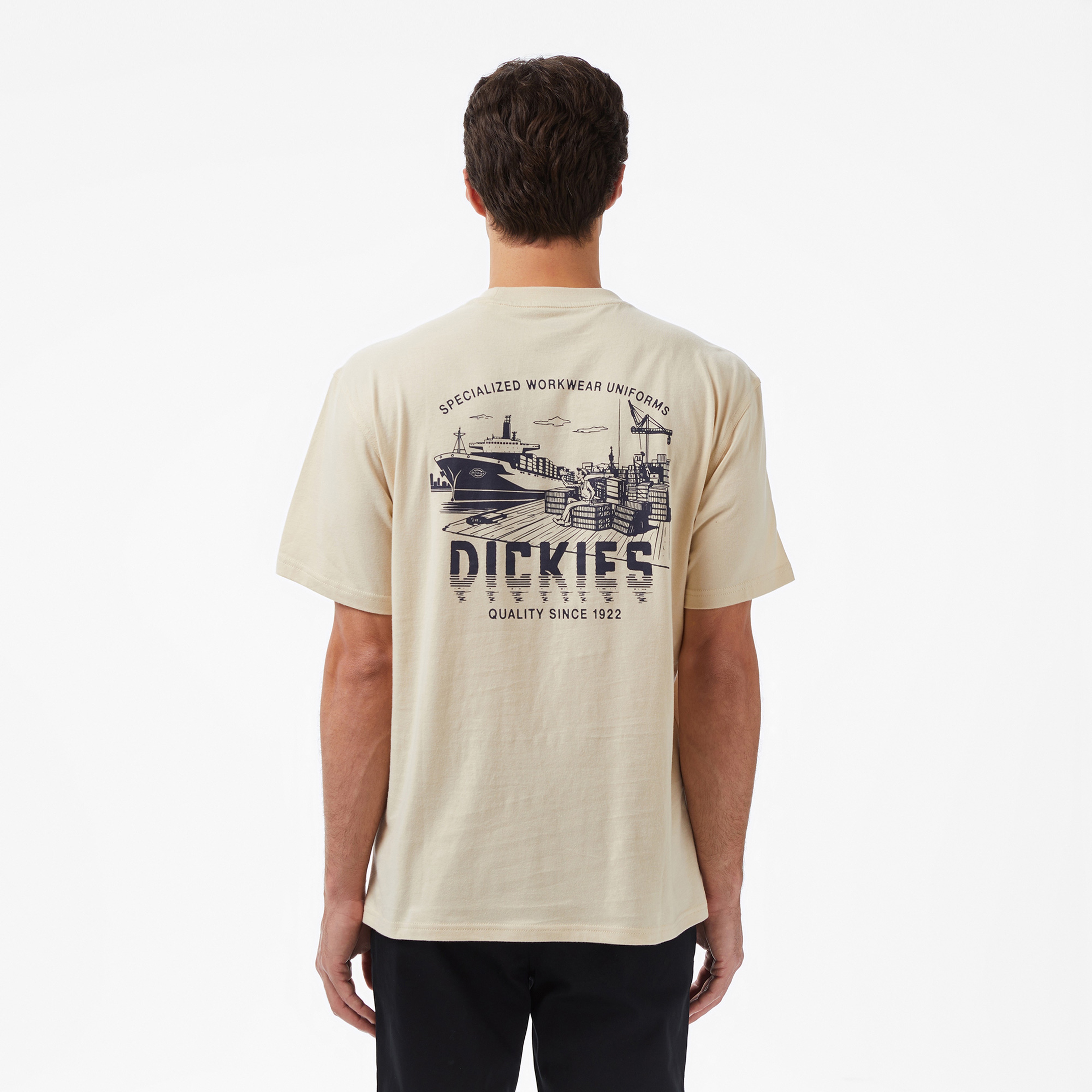 Dickies Pelham Erkek Bej T-Shirt