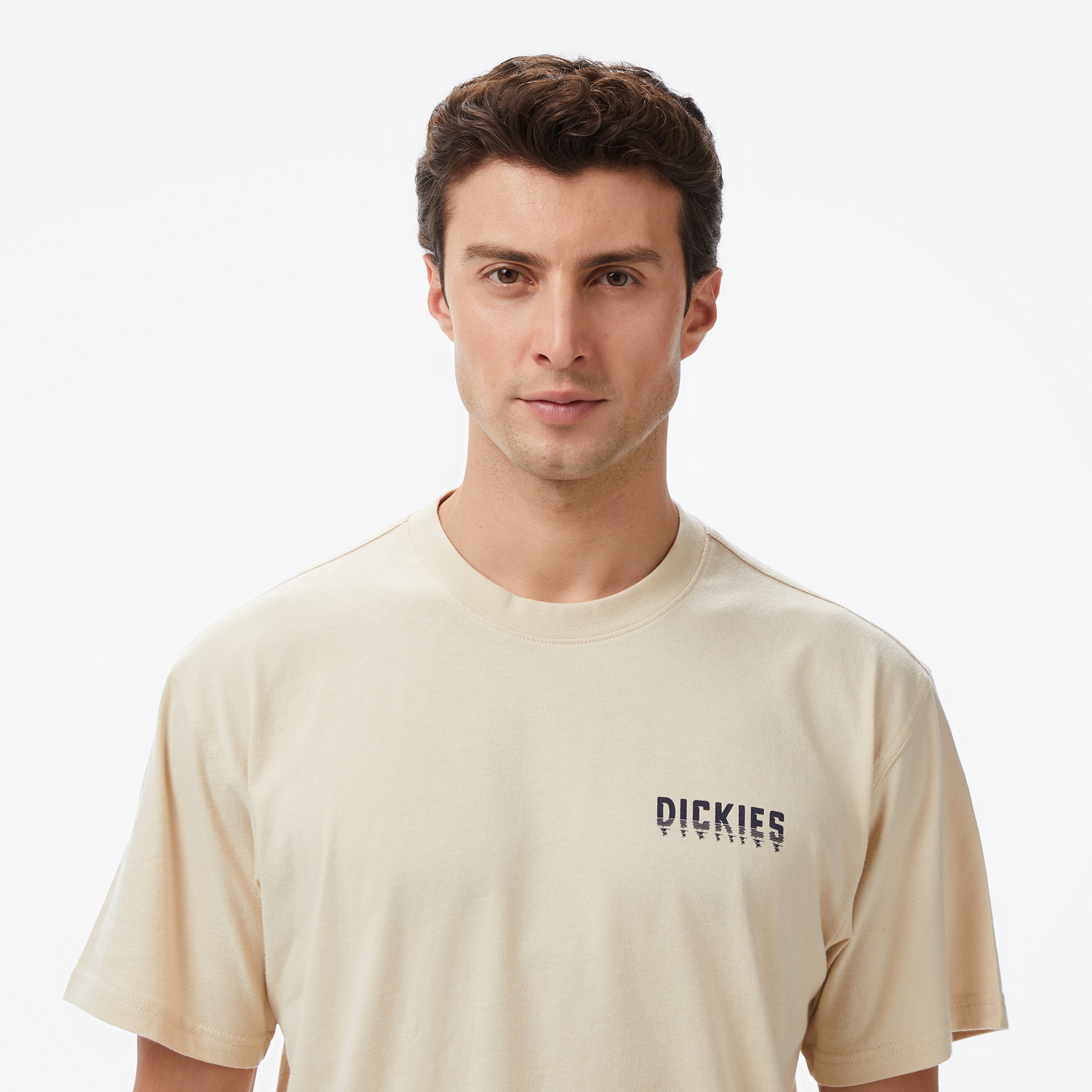 Dickies Pelham Erkek Bej T-Shirt