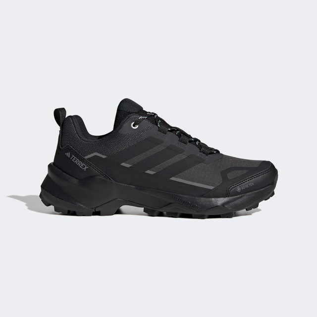 Adidas Siyah Adidas Terrex Skychaser Ax5