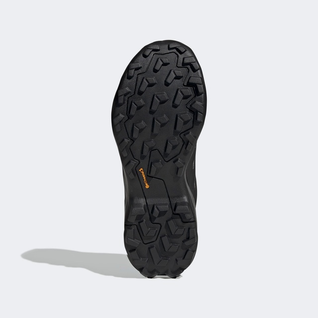 Adidas Siyah Adidas Terrex Skychaser Ax5