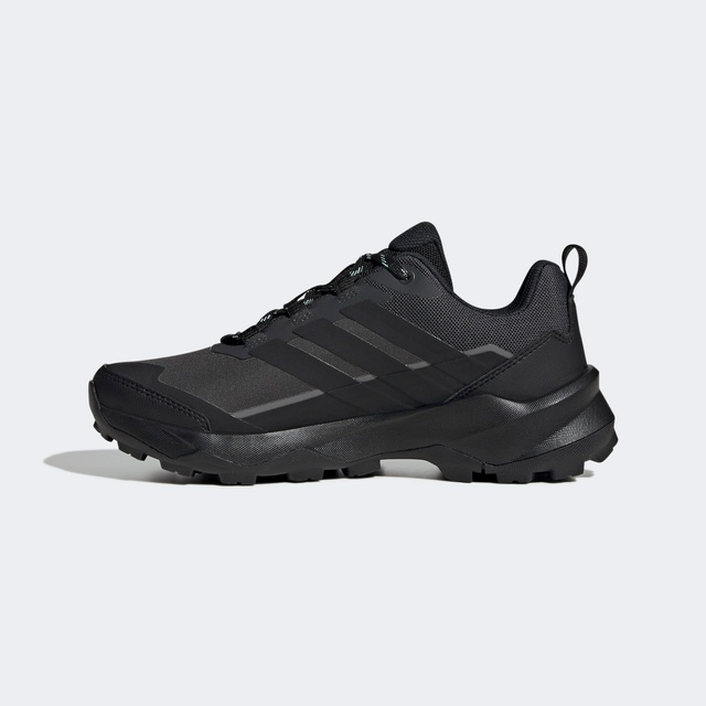 Adidas Siyah Adidas Terrex Skychaser Ax5