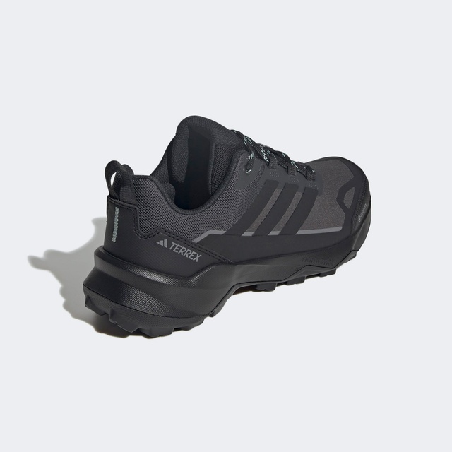 Adidas Siyah Adidas Terrex Skychaser Ax5