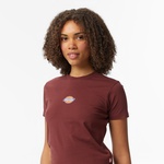 Dickies Maple Valley Kadın Kahverengi T-Shirt