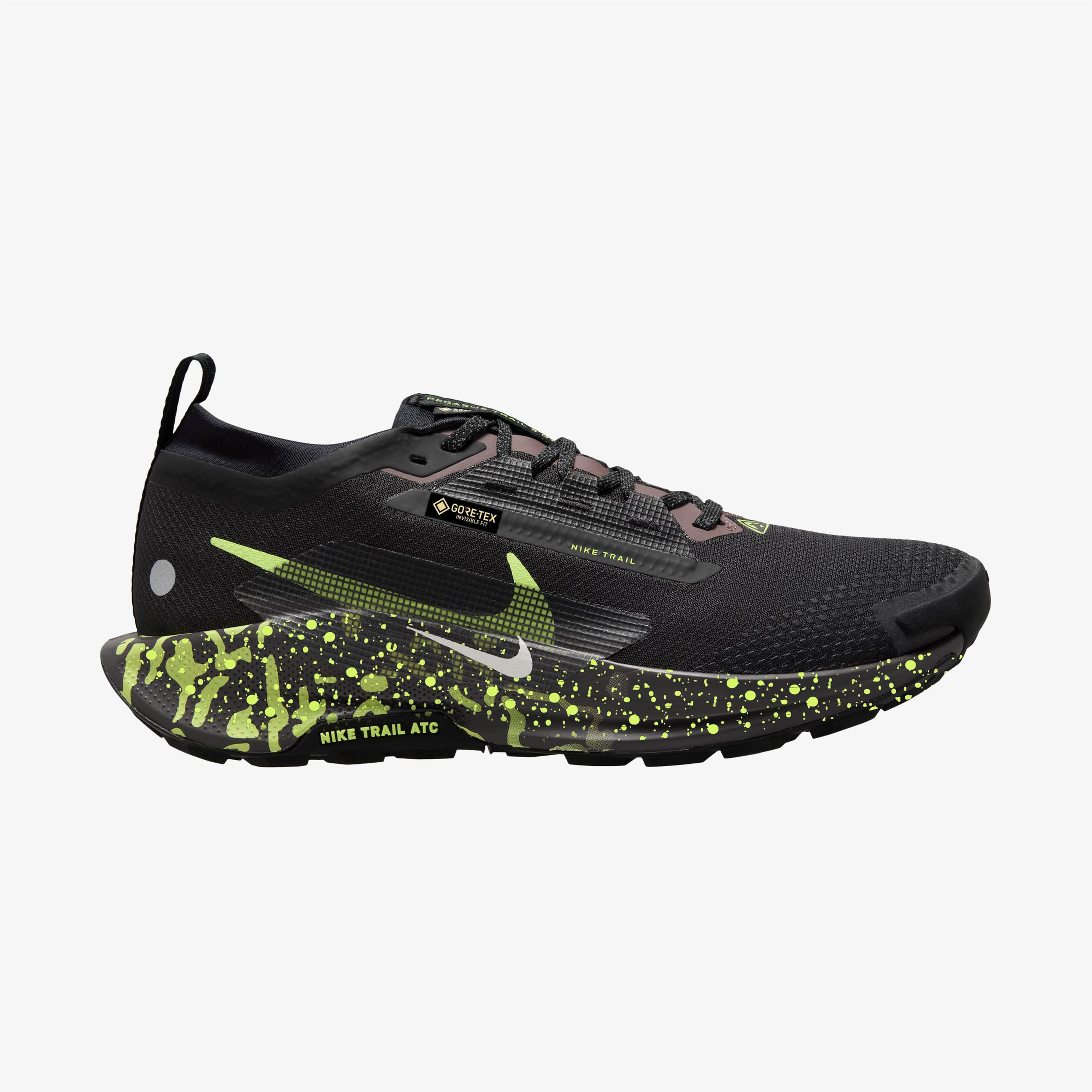 Nike Pegasus Trail 5 Gore-Tex Erkek Siyah Koşu Ayakkabısı