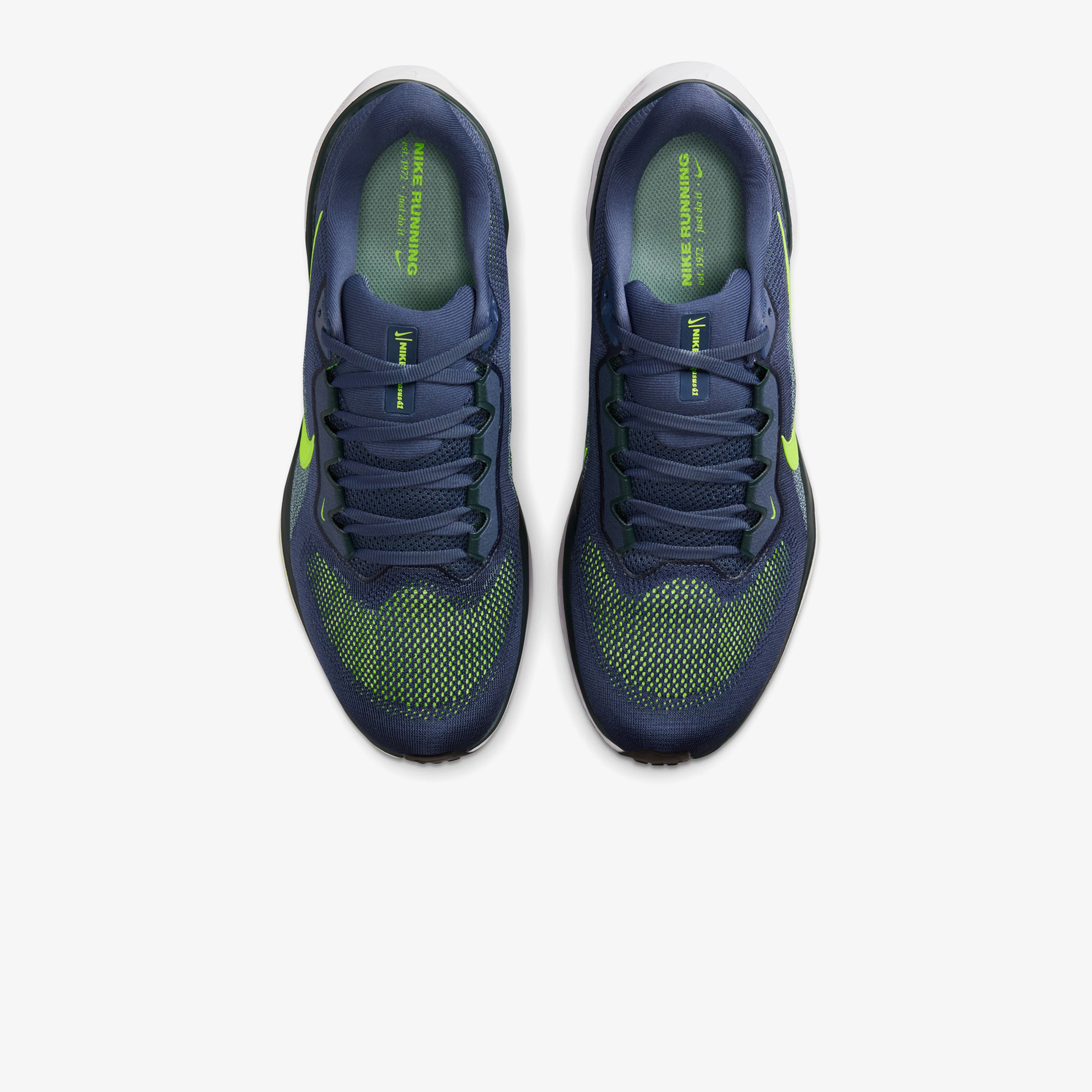 Nike Pegasus 41 Erkek Mor Koşu Ayakkabısı