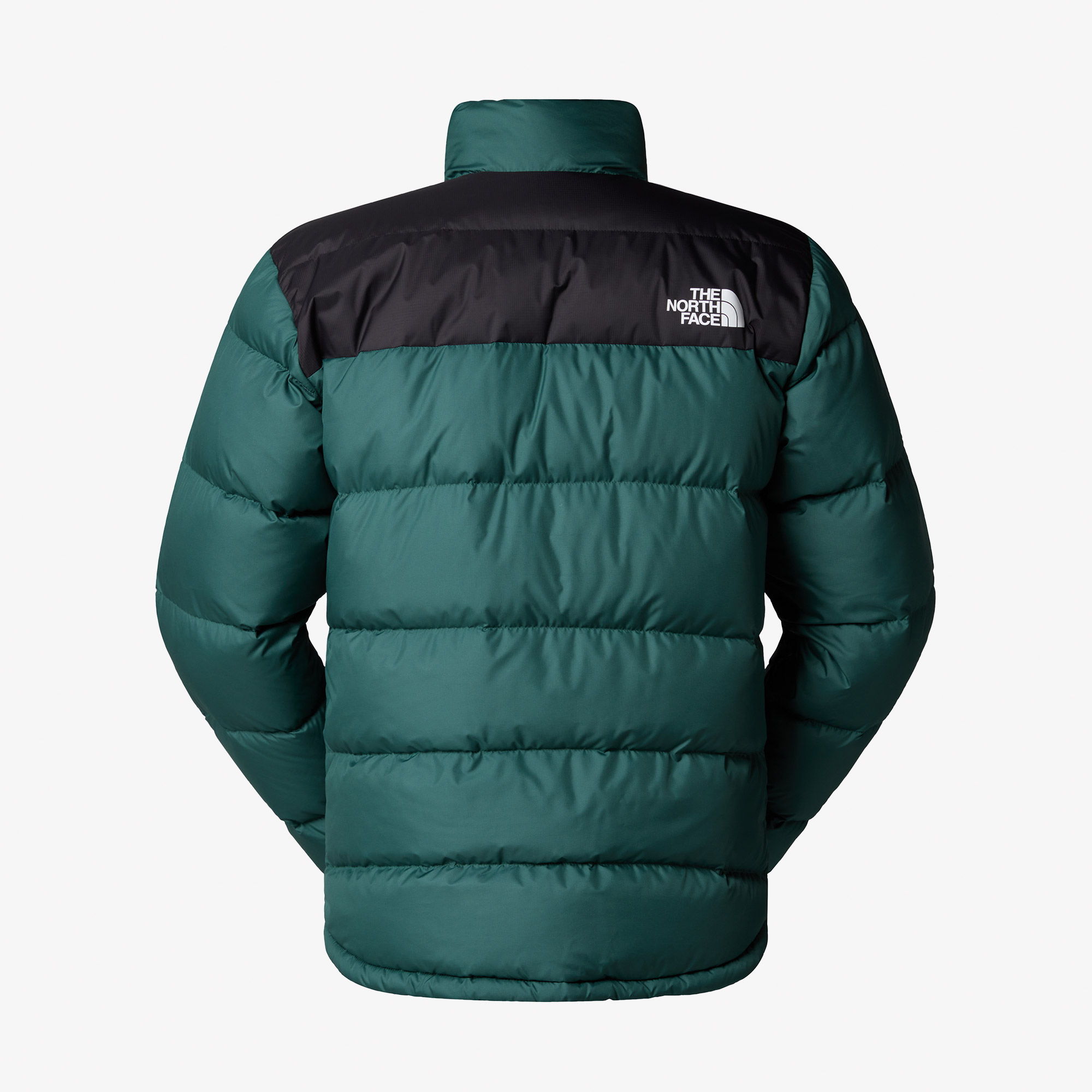 The North Face Erebus Down Erkek Yeşil Outdoor MontLNF0A7ZINBSP1