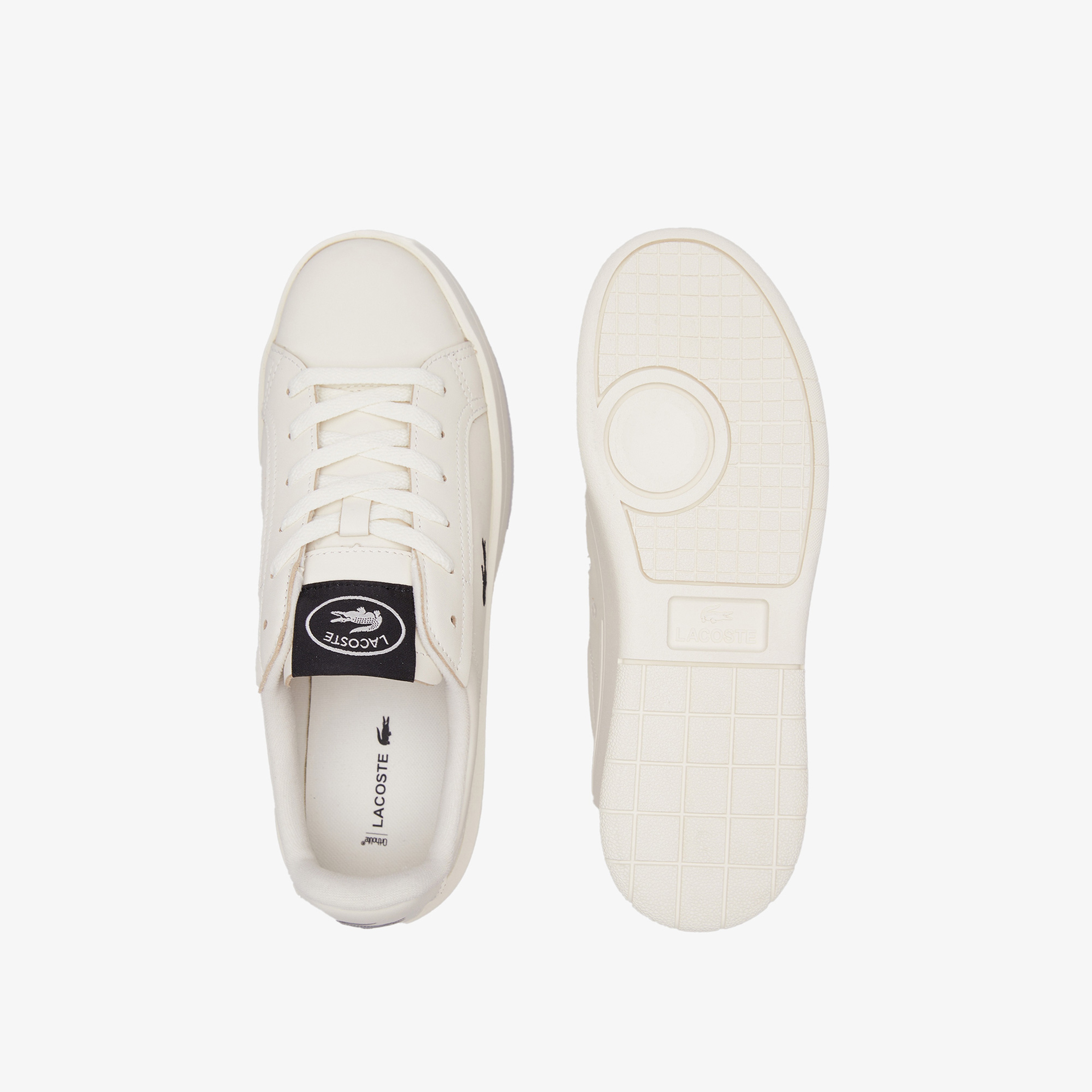 Carnaby Platform Kadın Krem Sneaker