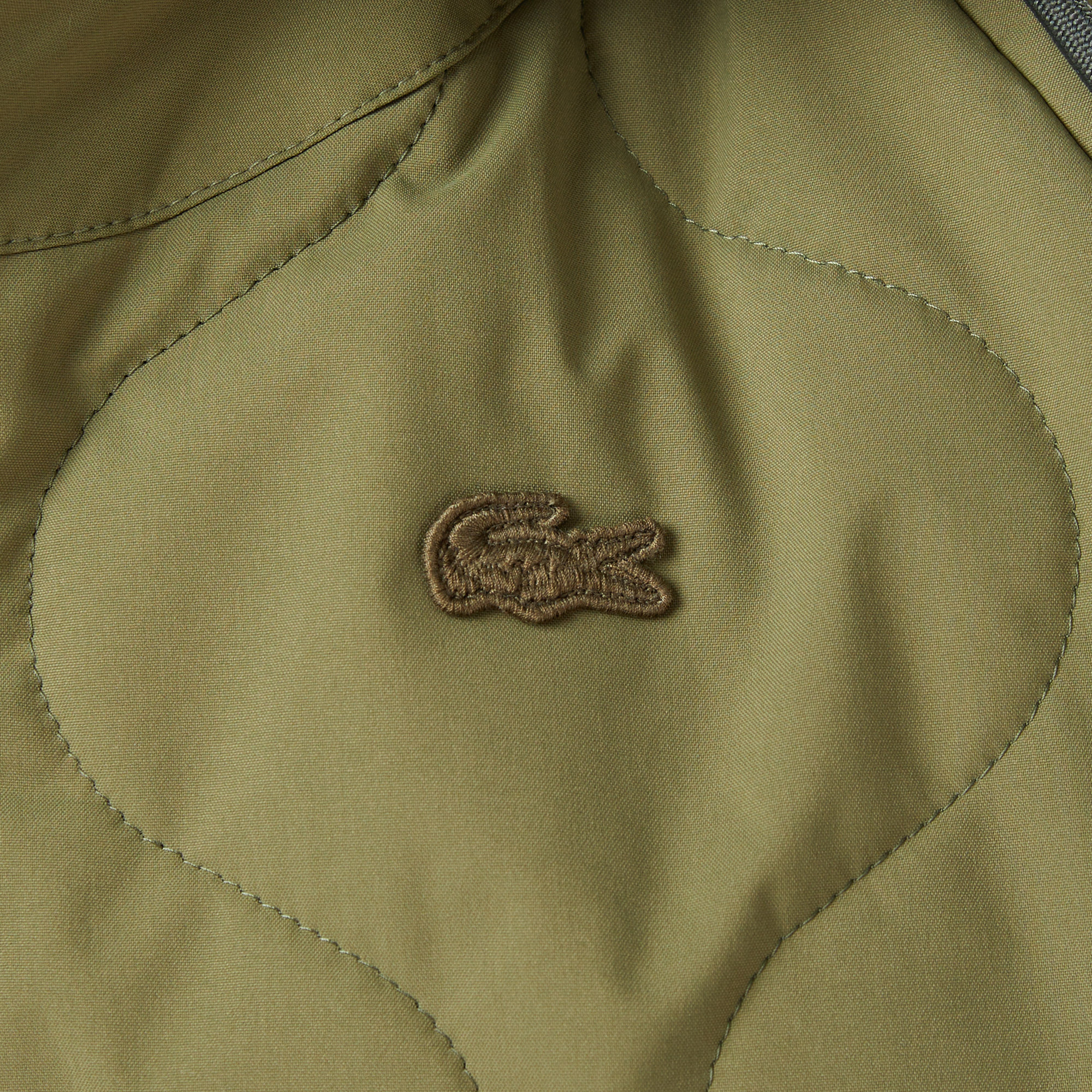 Lacoste Kadın Gömlek Yaka Baskılı Haki Ceket