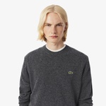 Erkek Classic Fit Bisiklet Yaka Gri Kazak