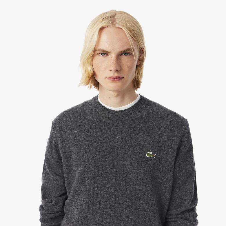 Erkek Classic Fit Bisiklet Yaka Gri Kazak